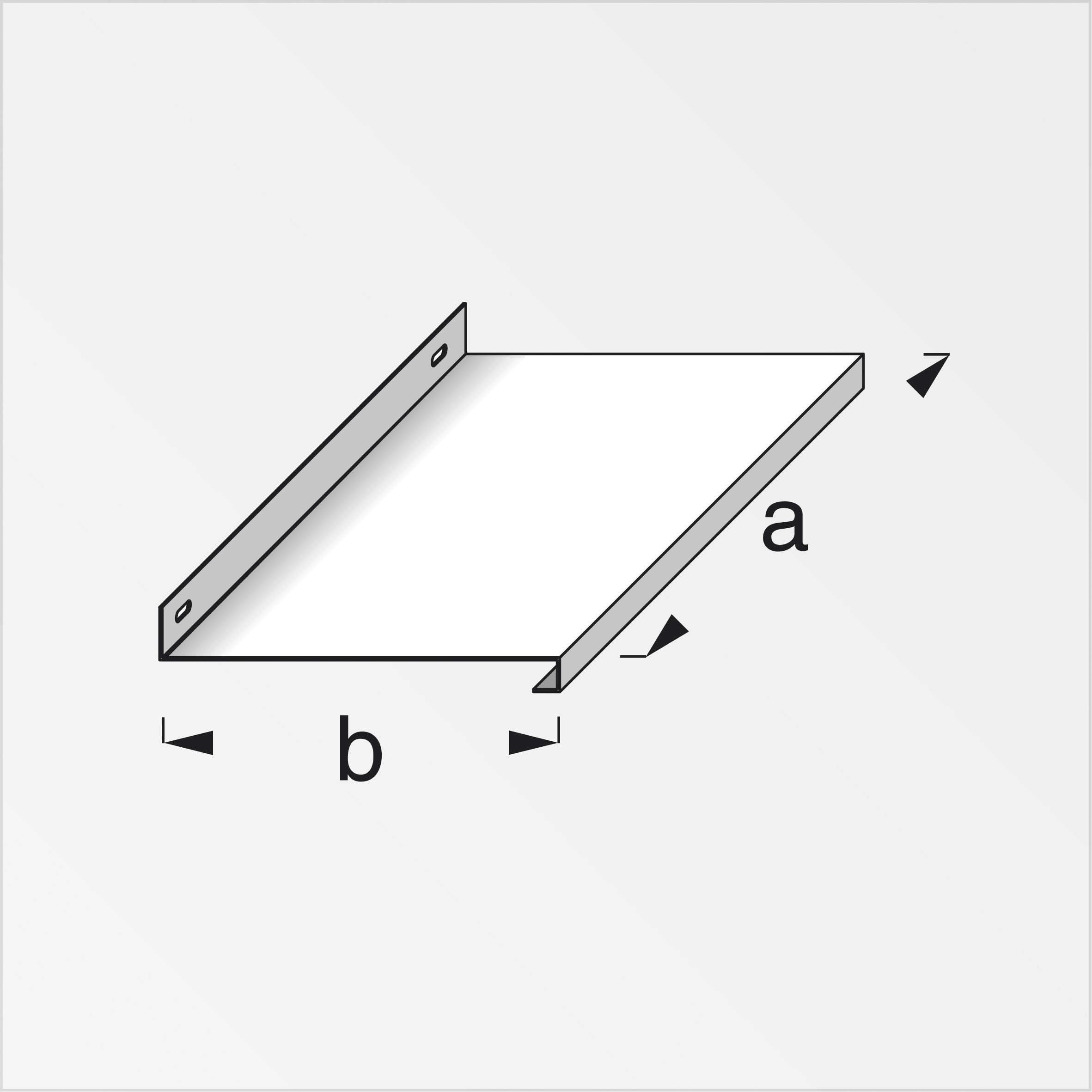 Alfer coaxis®-Tablar, 800 x 230 mm Alfer coaxis®-Tablar, 800 x 230 mm