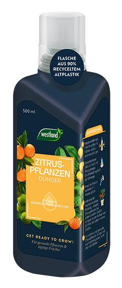 Westland Zitruspflanzen Dünger, 500 ml