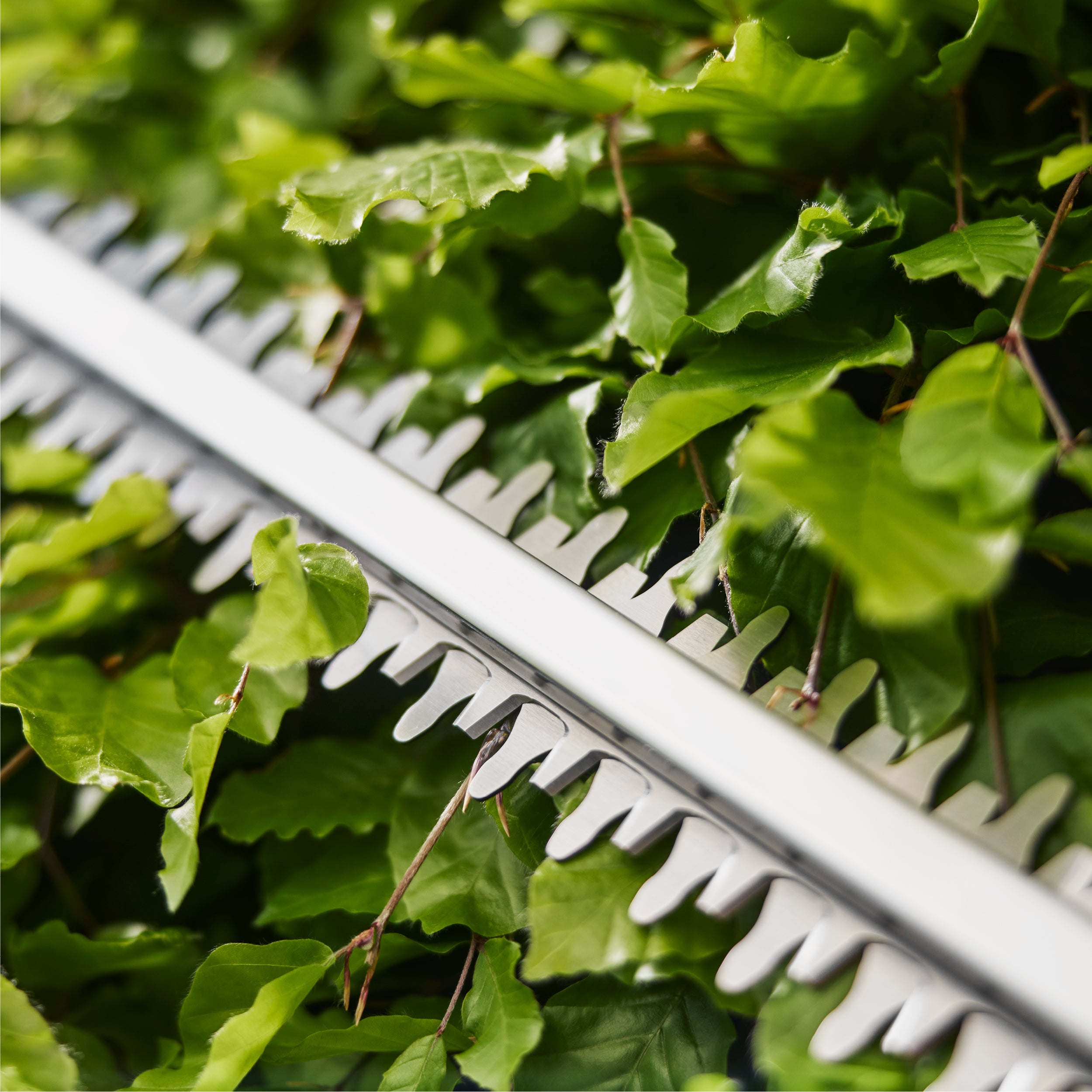 Gardena Akku-Heckenschere EasyCut 45/18V P4A, Ready-To-Use Set