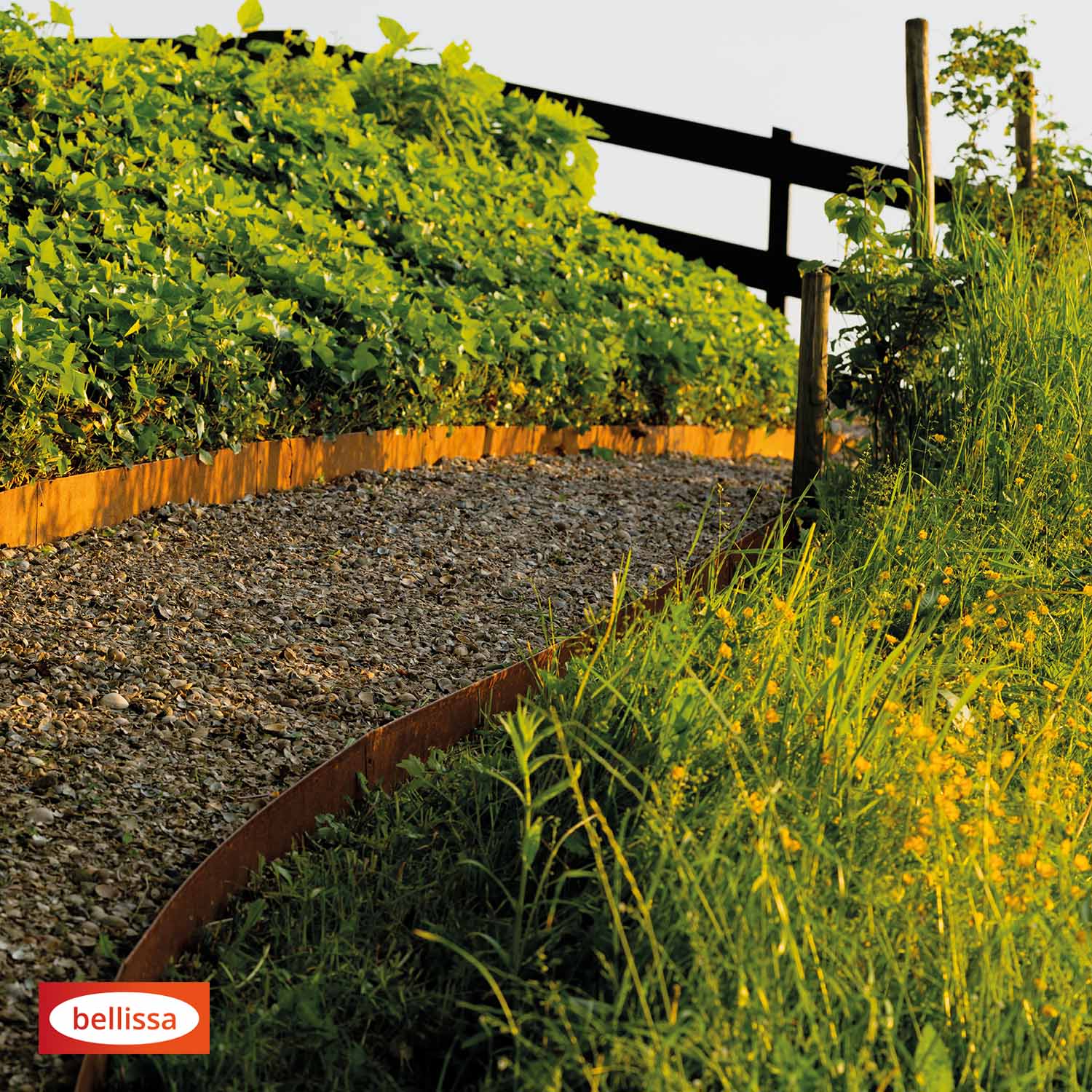 Bellissa Rasenkante Corten 20 Bellissa Rasenkante Corten 20