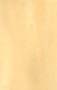 Furnierplatten_Pappel Zeg Furnierplatte Pappel, 120 x 60 x 1 cm