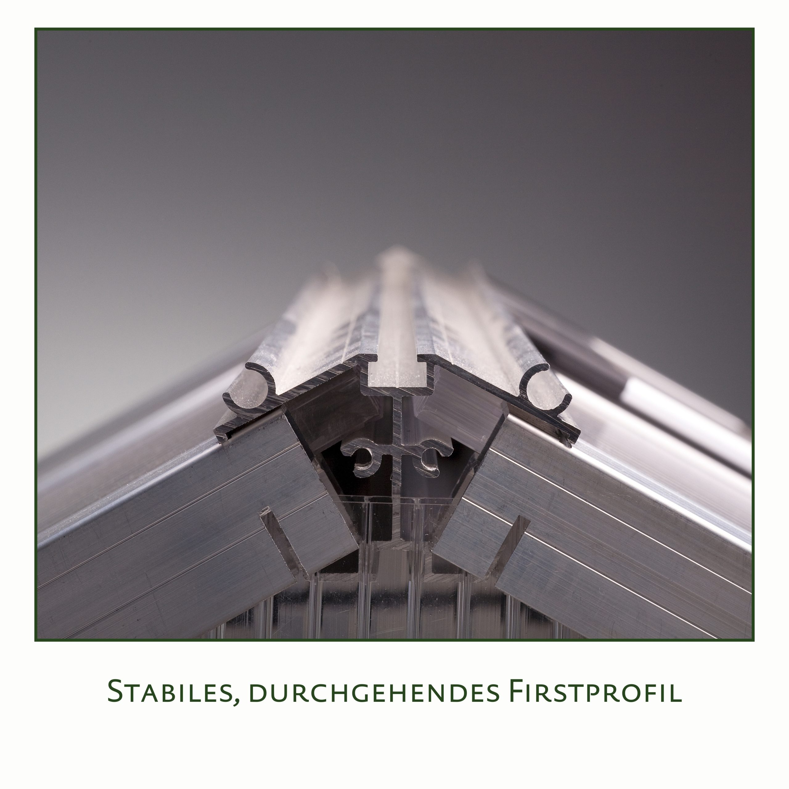 KGT Gewächshaus Rhodo III, pressblank