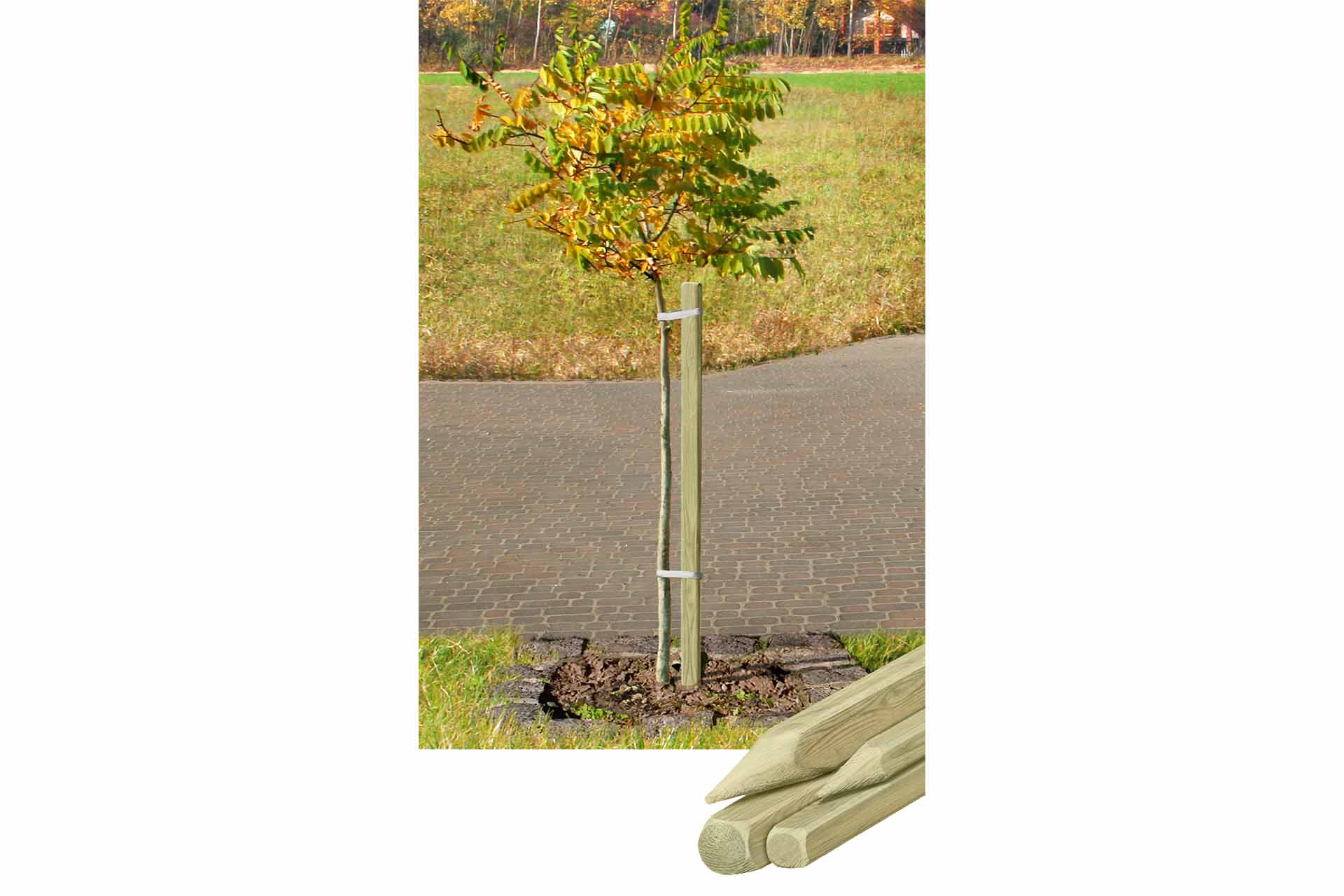 Delta Pflanzstab, vierkant, KDI grün, 3,2 x 3,2 x 100 cm Delta Pflanzstab, vierkant, KDI grün, 3,2 x 3,2 x 100 cm