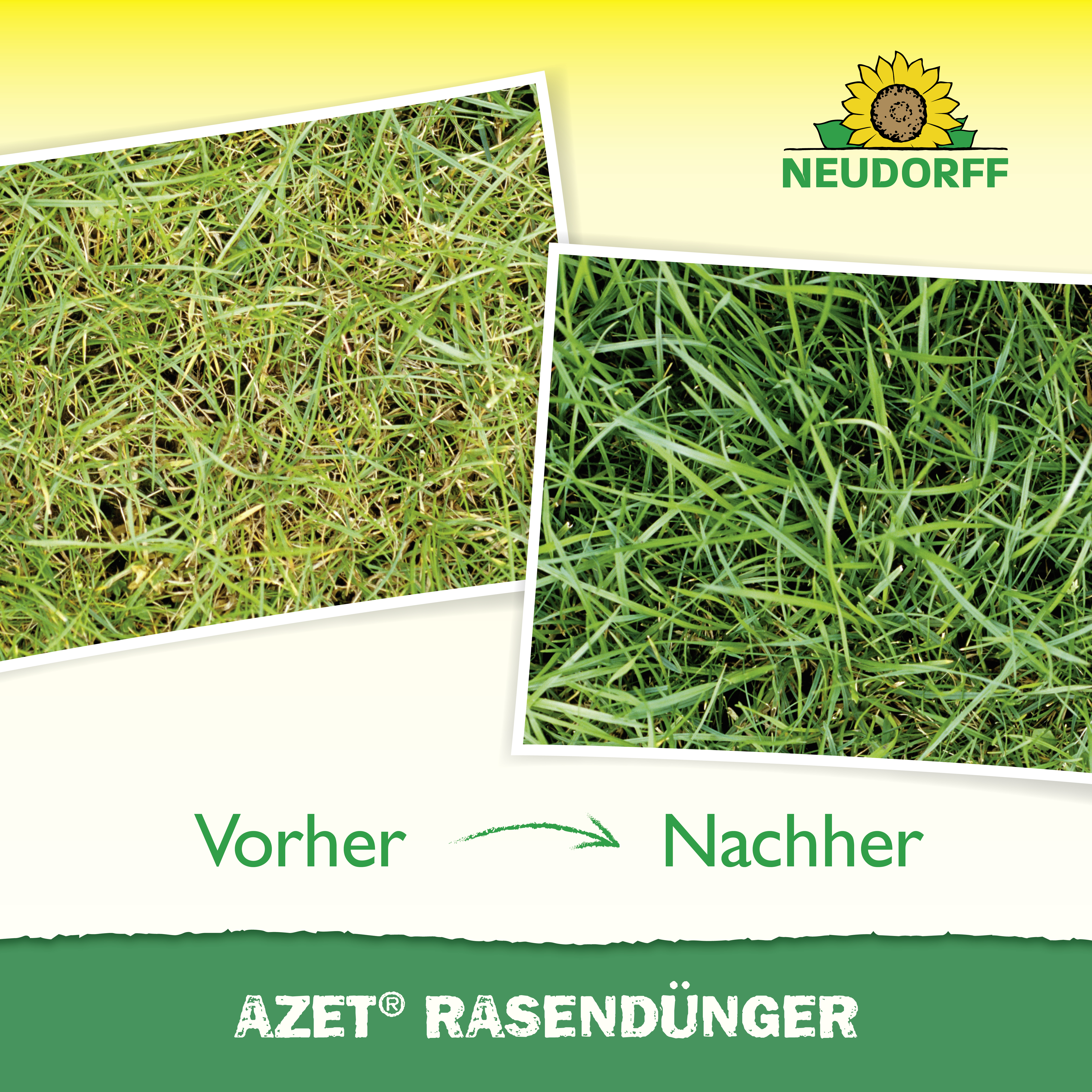 Neudorff Azet RasenDünger, 5 kg