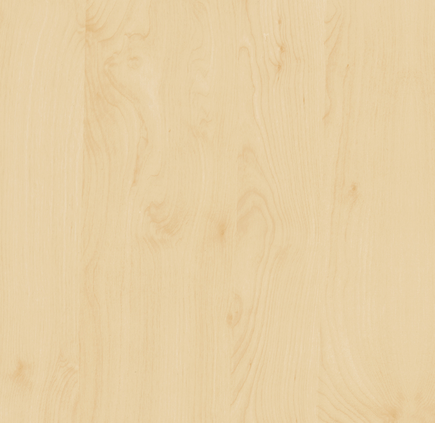 489863 DCFIX 67,5X200CM HÖLZER BIRKE DECO