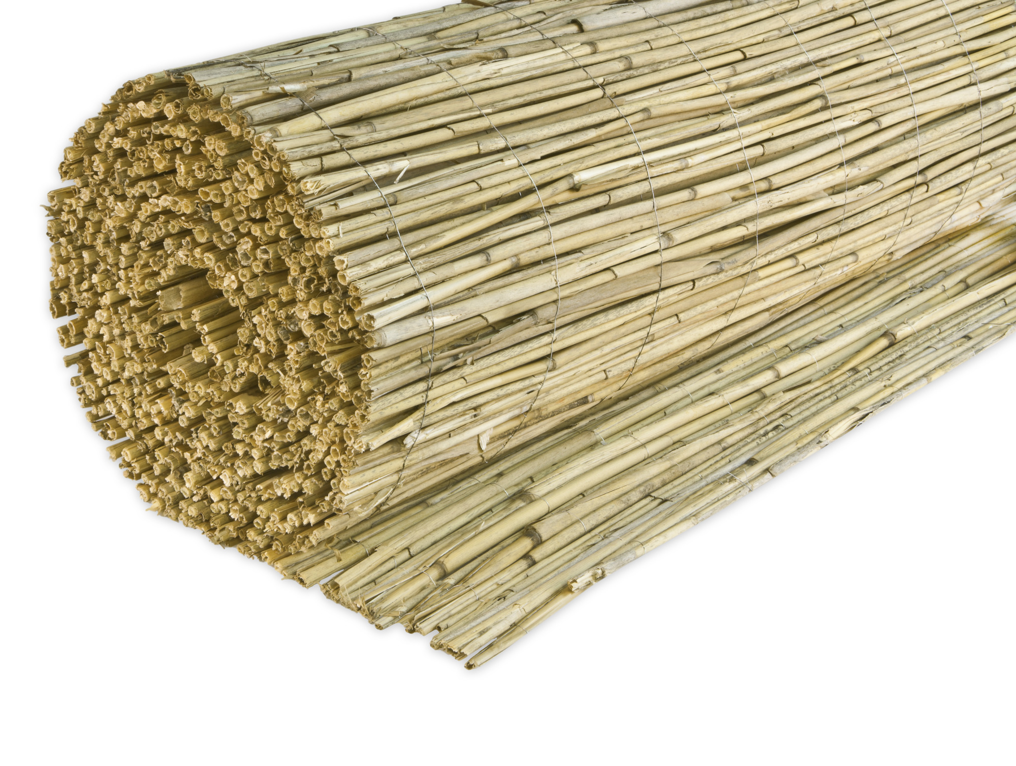 9003117068254tuDemWYMPfumR Sichtschutzmatte Reed natur