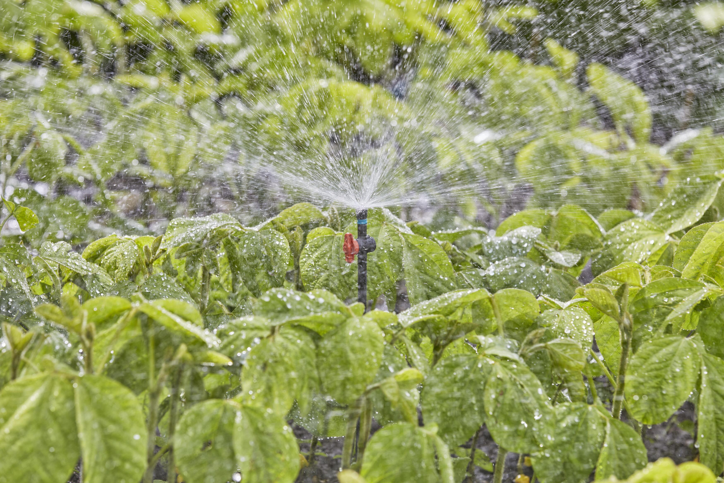 Gardena Micro-Drip-System Sprühdüse 360 Grad