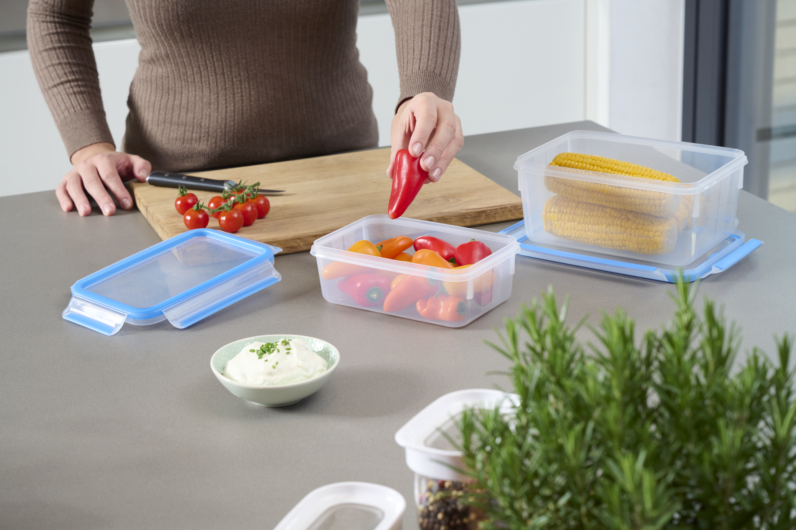 EMSA Clip & Close Frischhaltedose 1 L, rechteckig EMSA Clip & Close Frischhaltedose 1 L, rechteckig