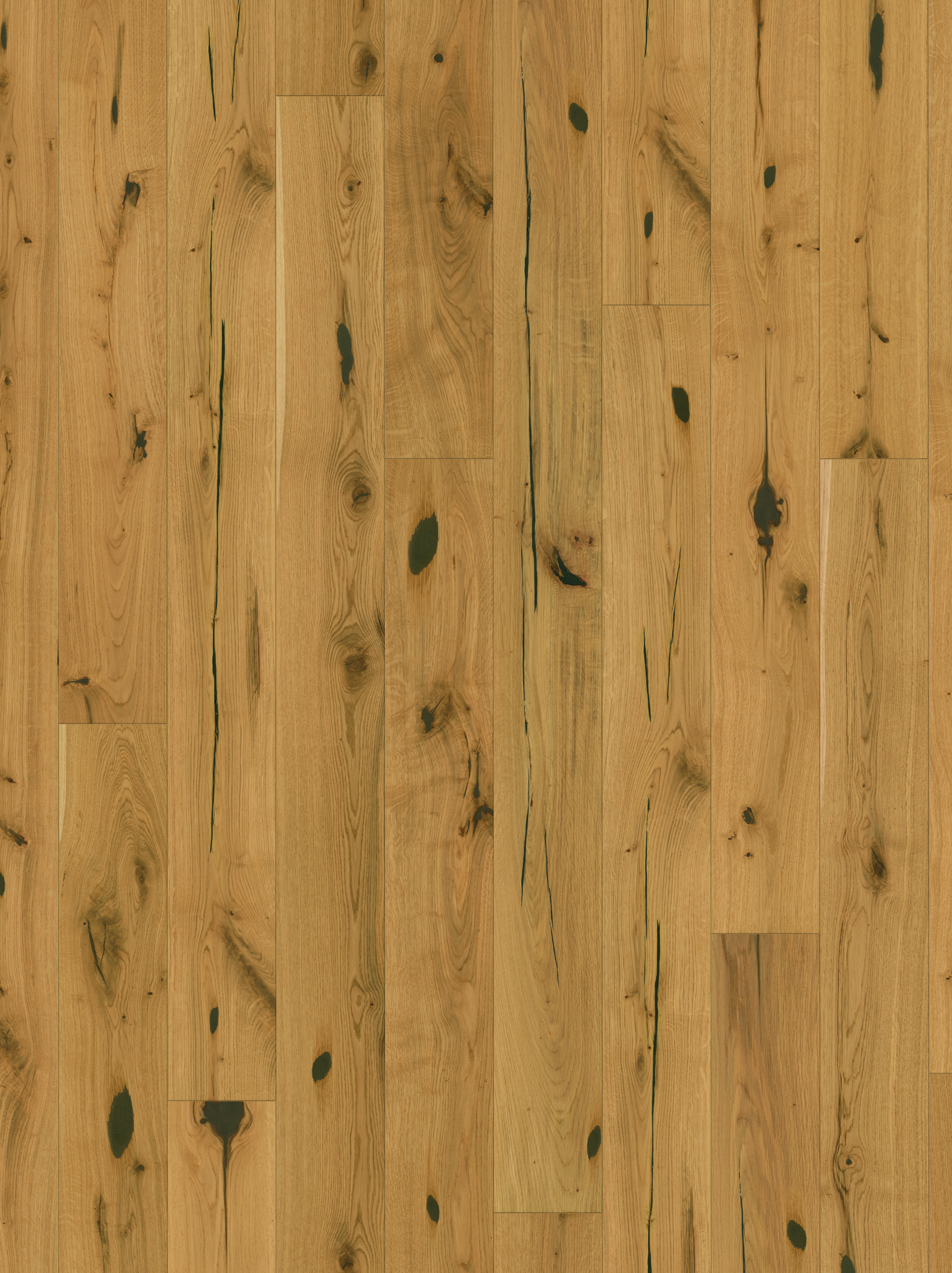 Parador Aktions Parkett Allgäu – Rustica Eiche Naturöl plus 1-Stab LHD Minifase