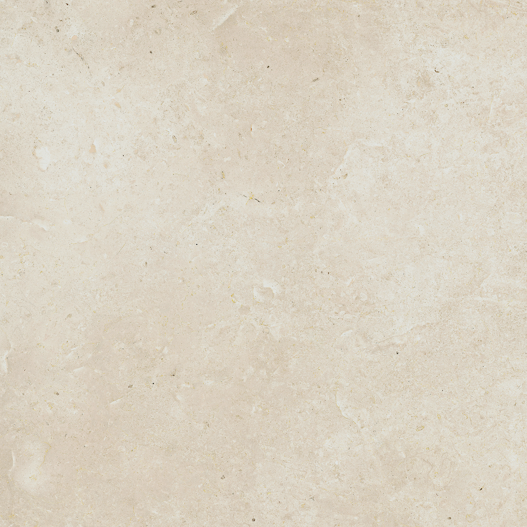 Lasselsberger Bodenfliese Lime beige, 60 x 60 cm