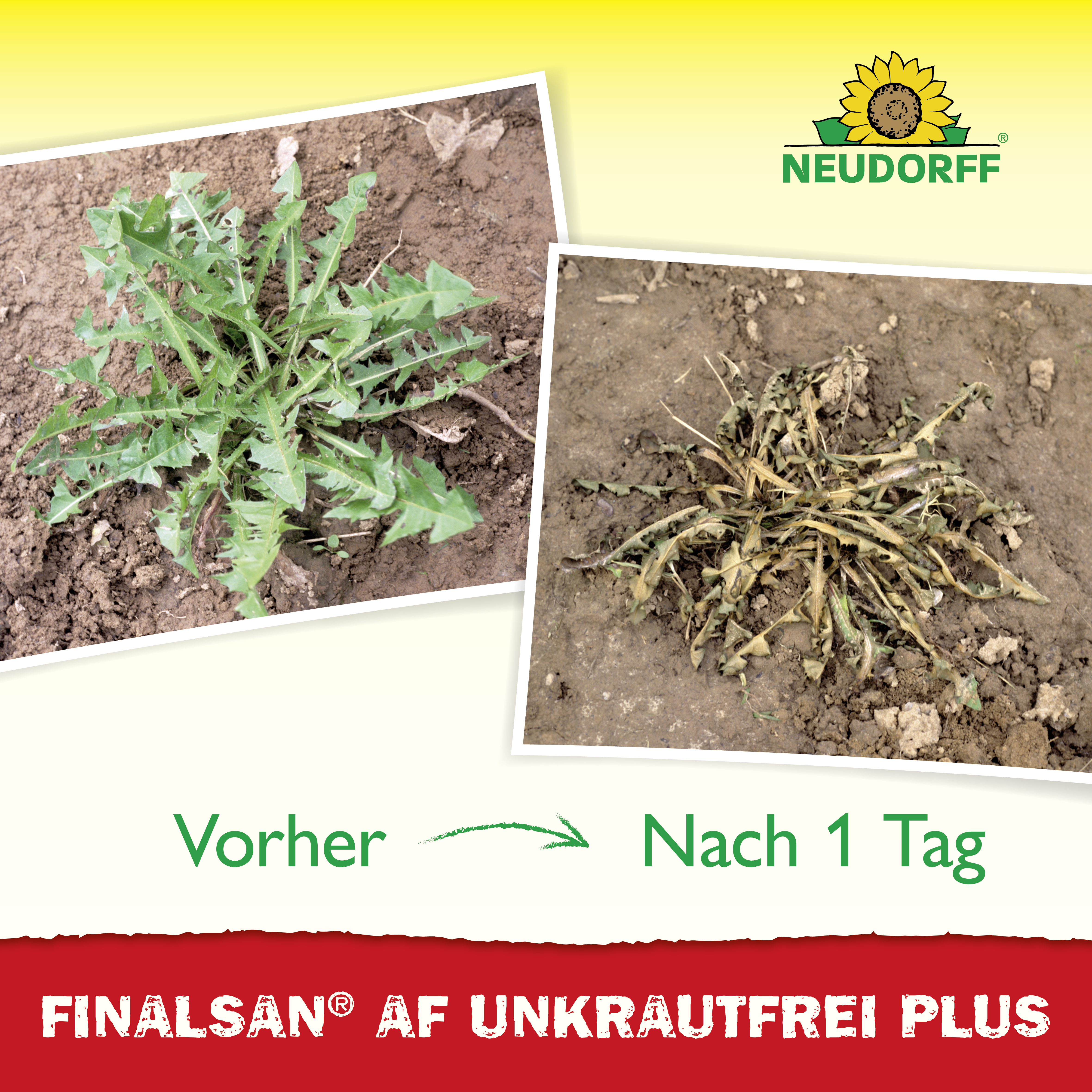 Neudorff Finalsan AF UnkrautFrei Plus, 750 ml