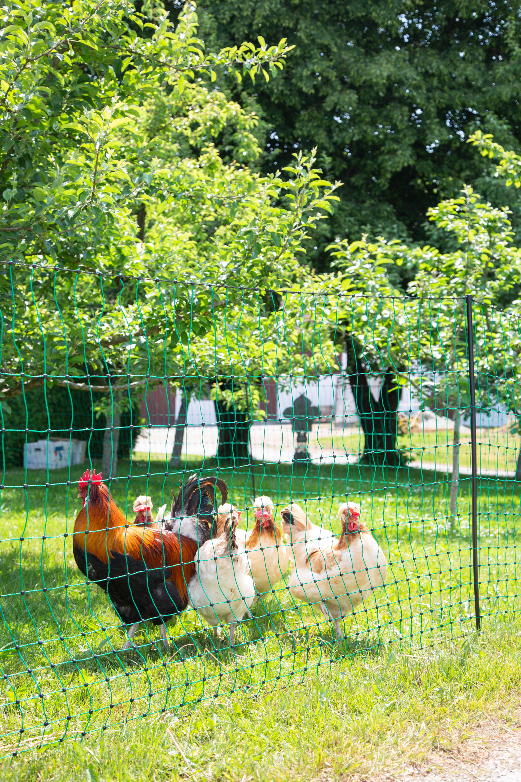 Kerbl Geflügelnetz grün, el. leitend 15 mtr. / 106cm / Doppelspitze