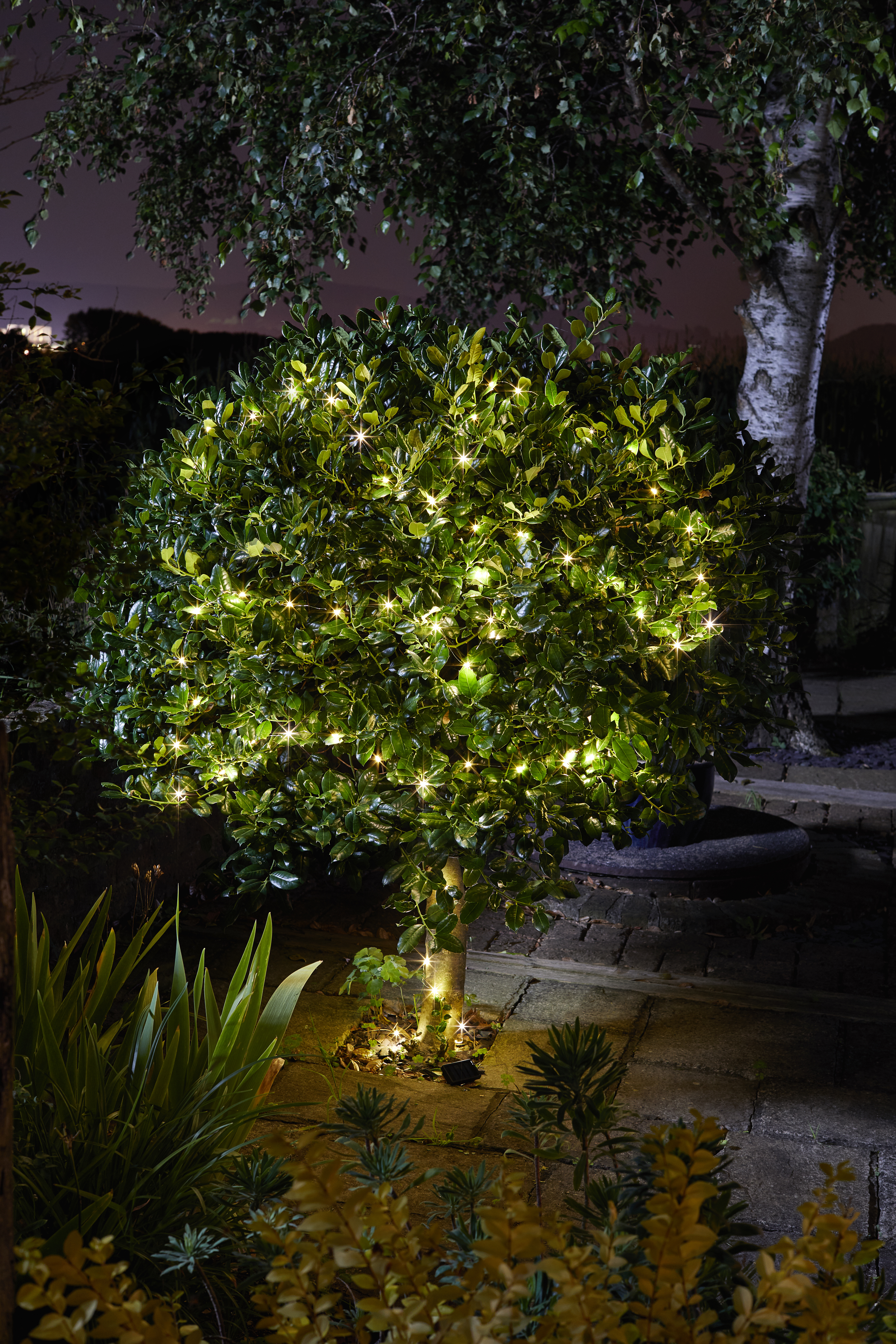 Smart Garden Solar-Lichterkette 50 Glühwürmchen, warmweiß Smart Garden Solar-Lichterkette 50 Glühwürmchen, warmweiß
