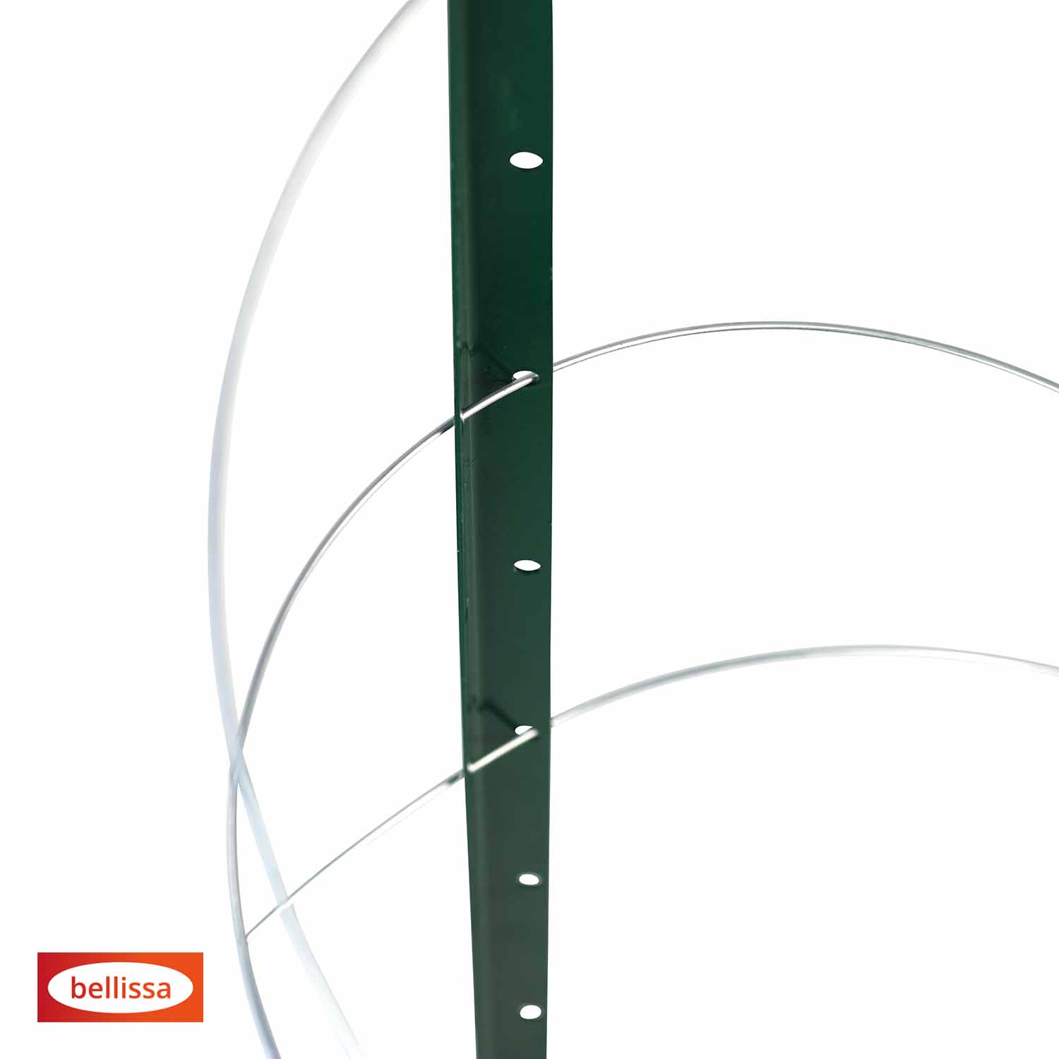 Bellissa Pflanzstab Timo 100 G