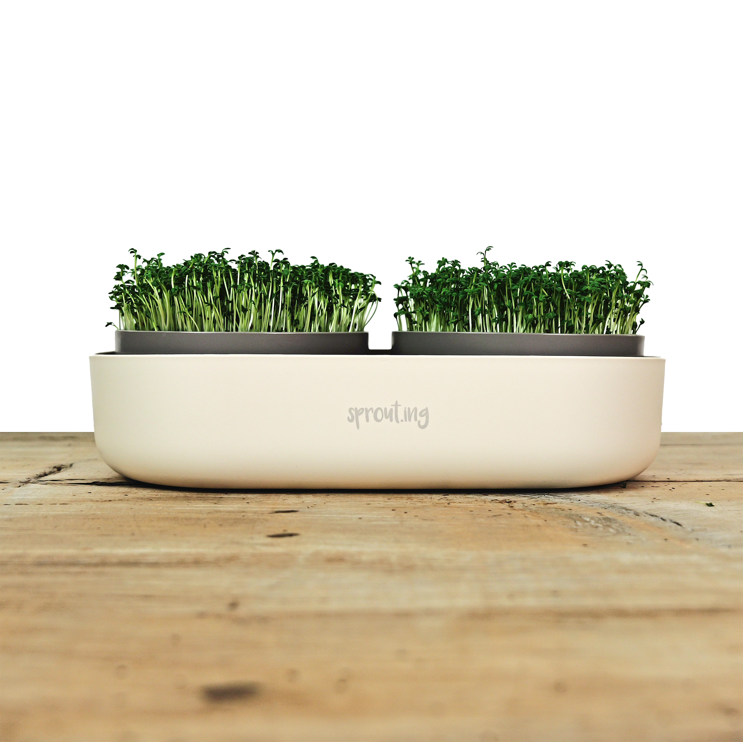 Sprouting Anzuchtschale, Doppelt