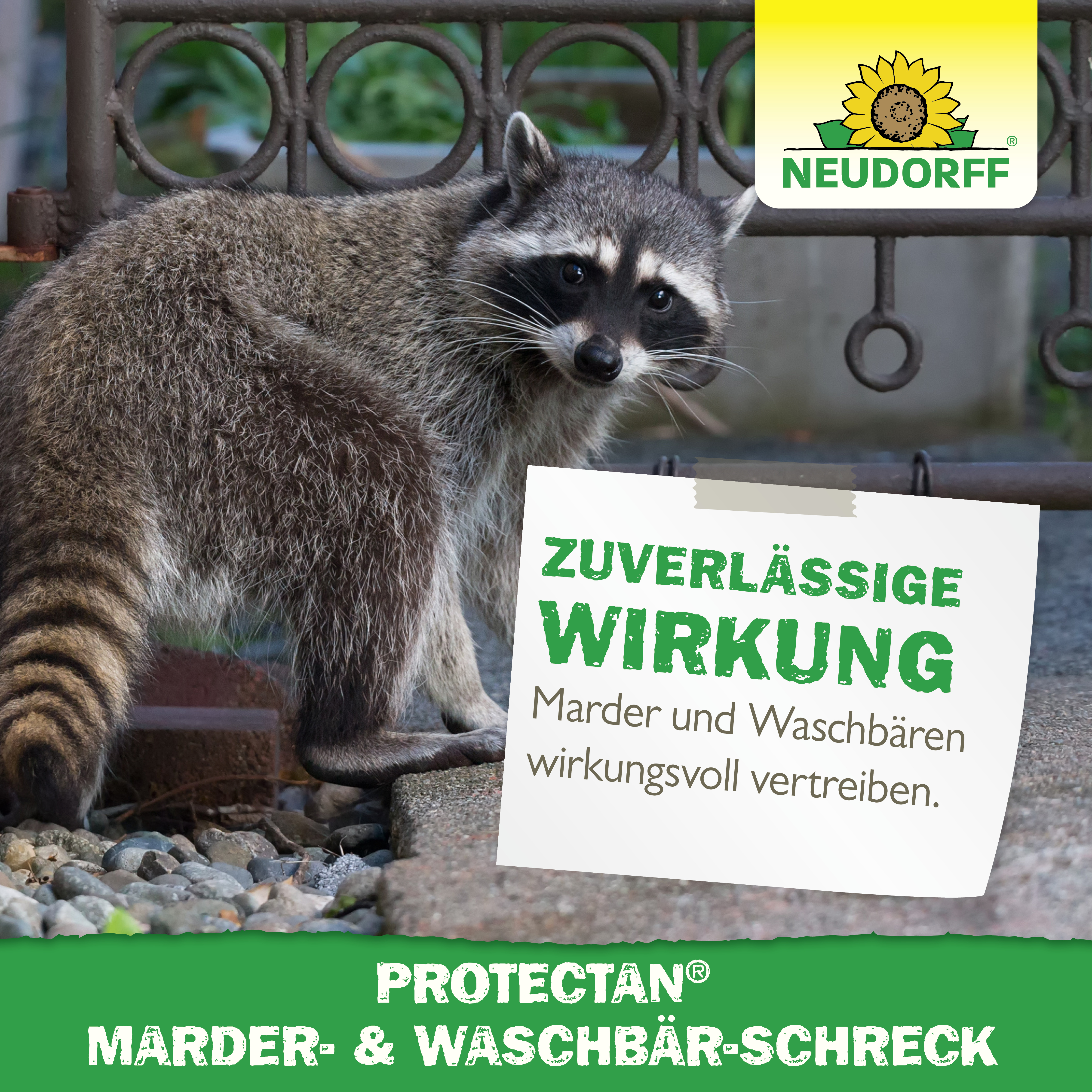 Neudorff Marder-& Waschbär-Schreck, 300 g Neudorff Marder-& Waschbär-Schreck, 300 g