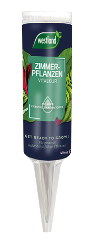 Westland Zimmerpflanzen Vitalkur, 40 ml