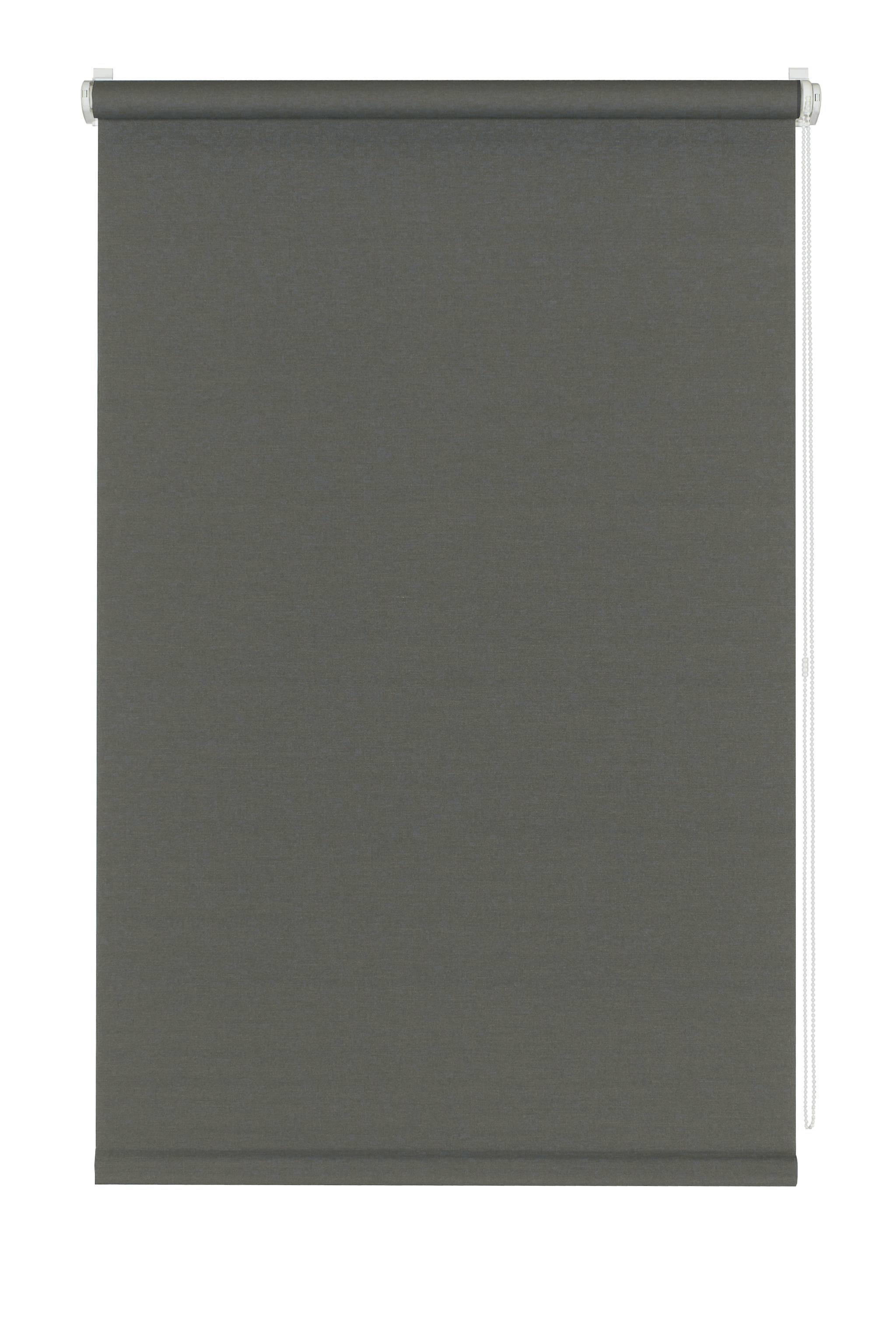 527568_01 GARDINIA MINI ROLLO TAGESLICHT  GRAU 100X150CM