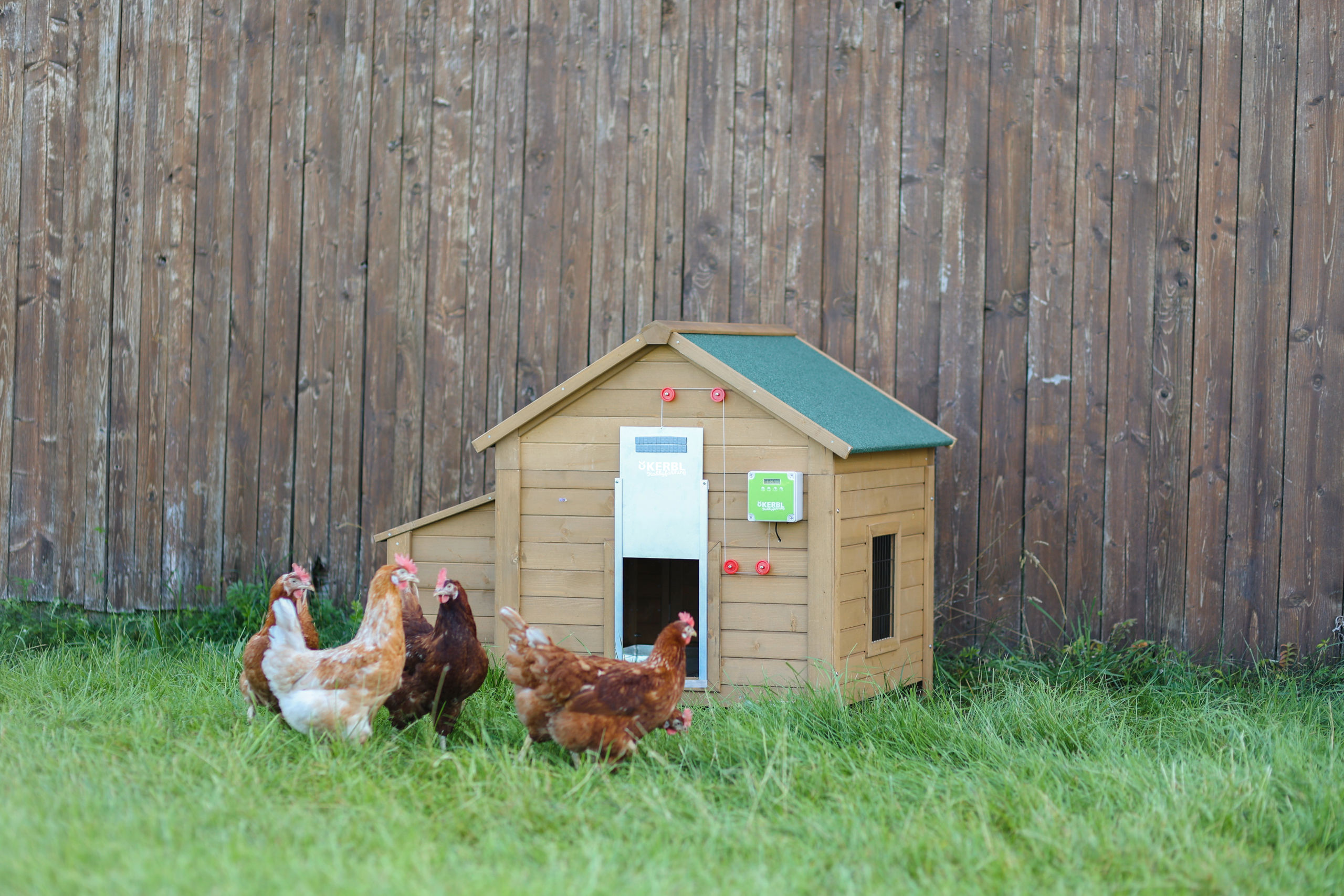 Kerbl Automatische Hühnertür mit Schiebetür 220x330mm, verpackt