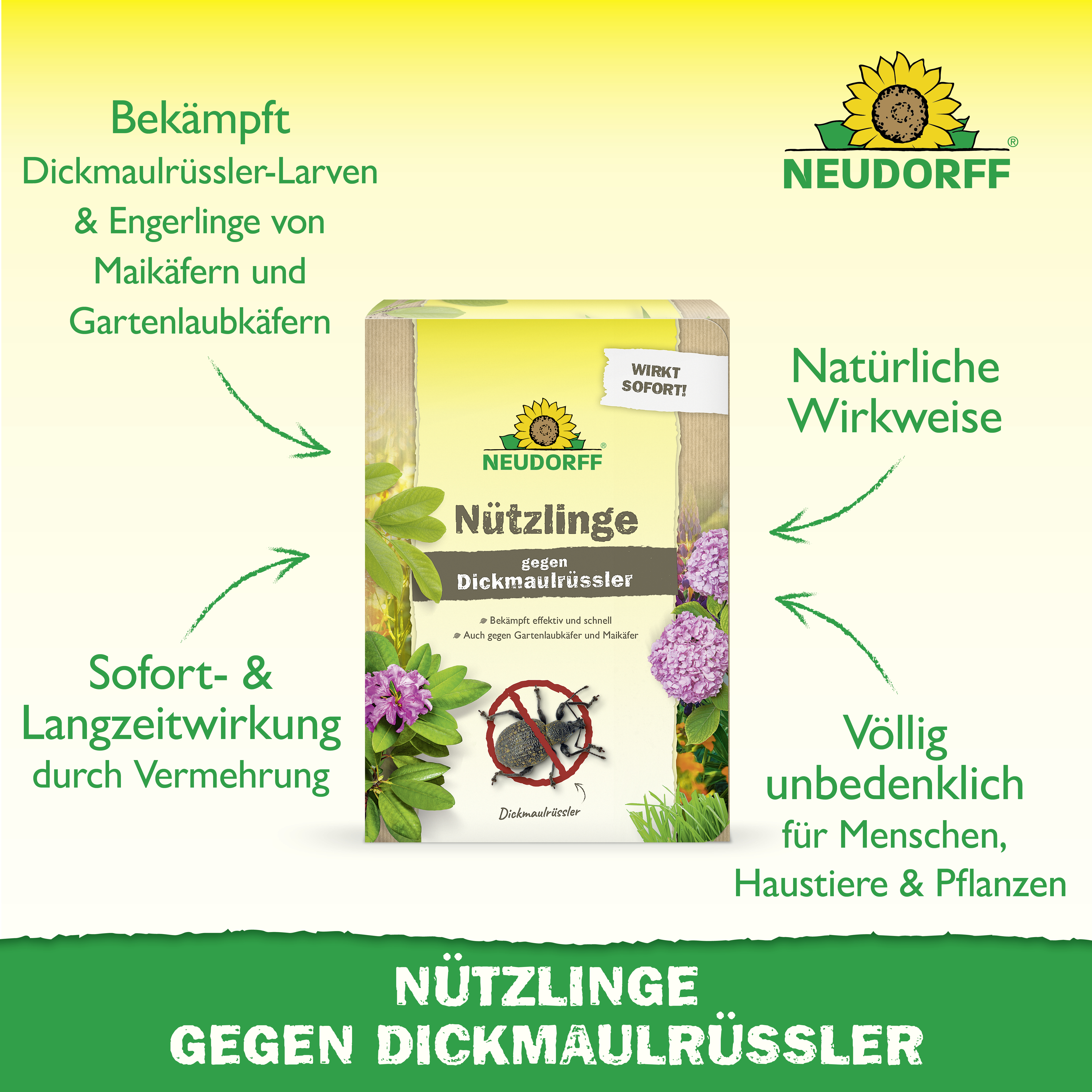 Neudorff Bestell-Karte Nützlinge gegen Dickmaulrüssler