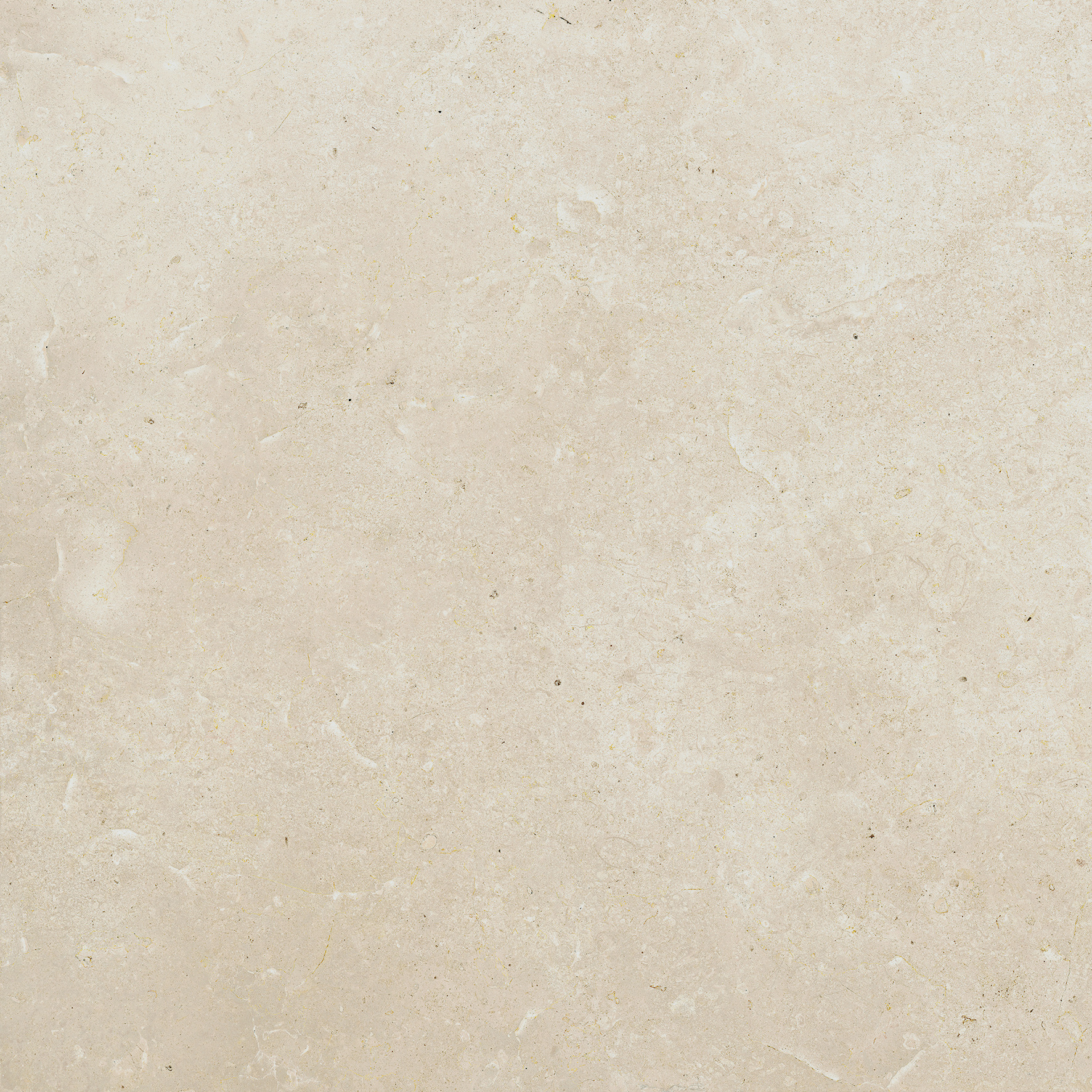 Lasselsberger Bodenfliese Lime beige, 60 x 60 cm