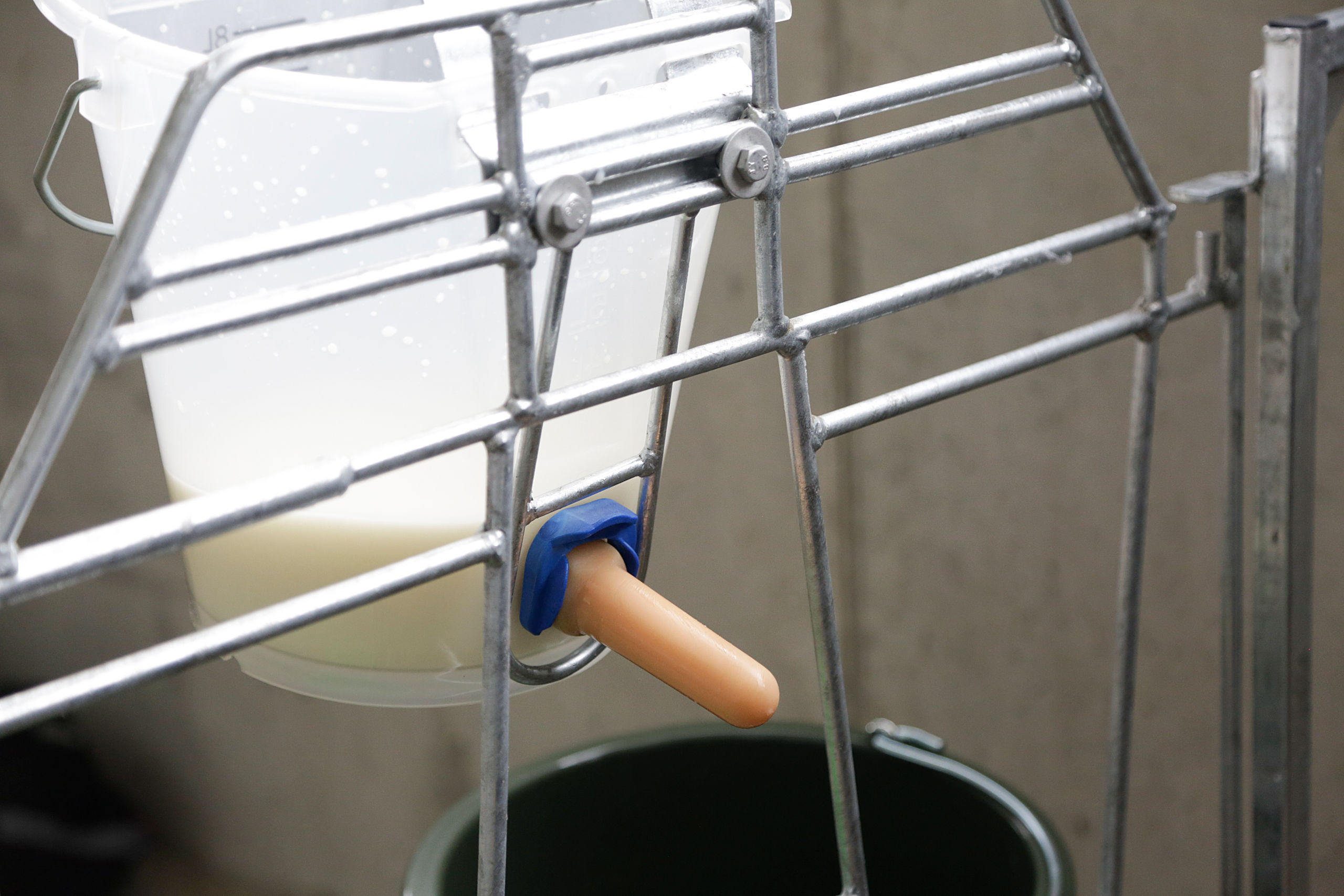 Kerbl Tränkeventil FixClip neu mit Naturkautschuk-Sauger