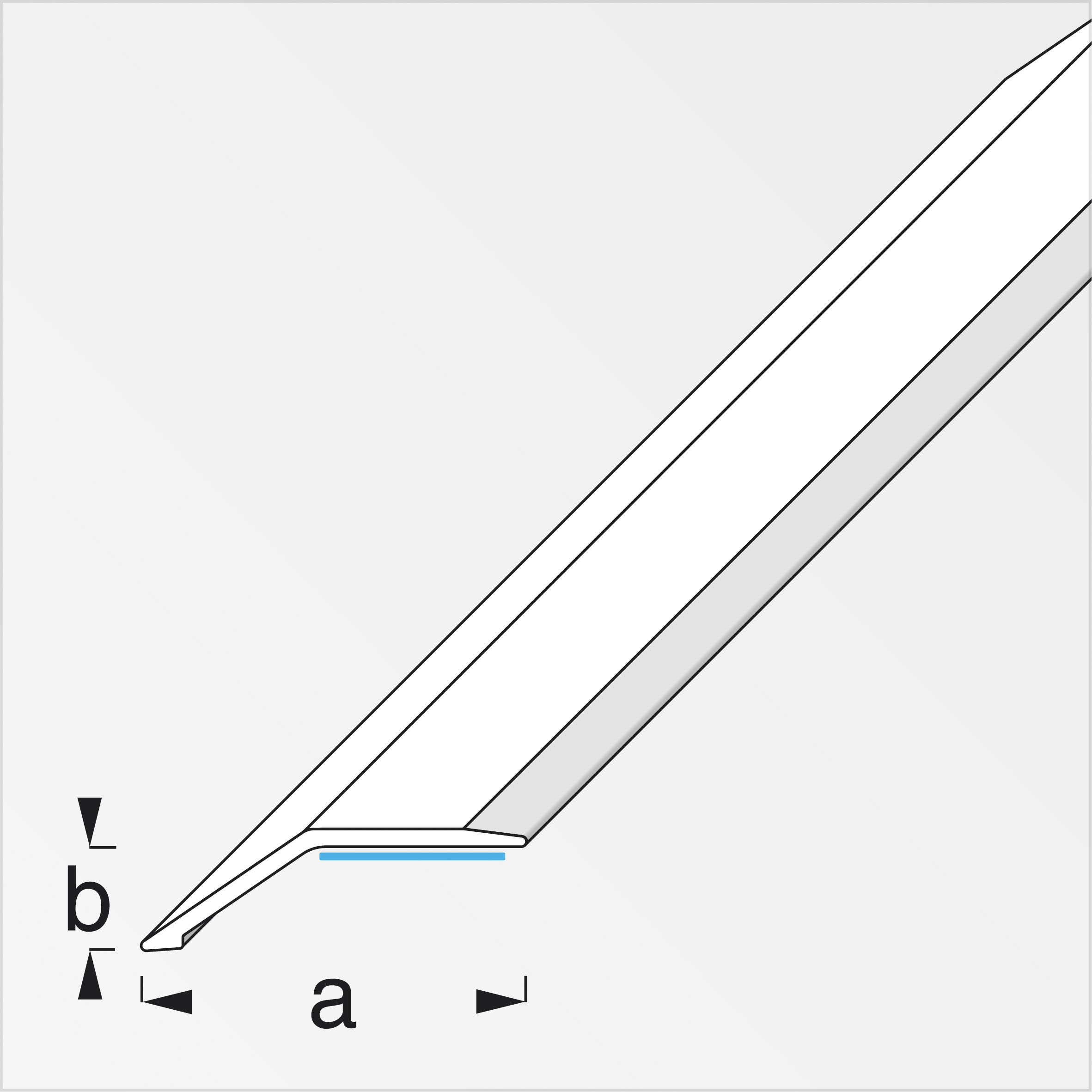 Alfer Niveauausgleichs-Profil, 34 mm, Eiche Alfer Niveauausgleichs-Profil, 34 mm, Eiche