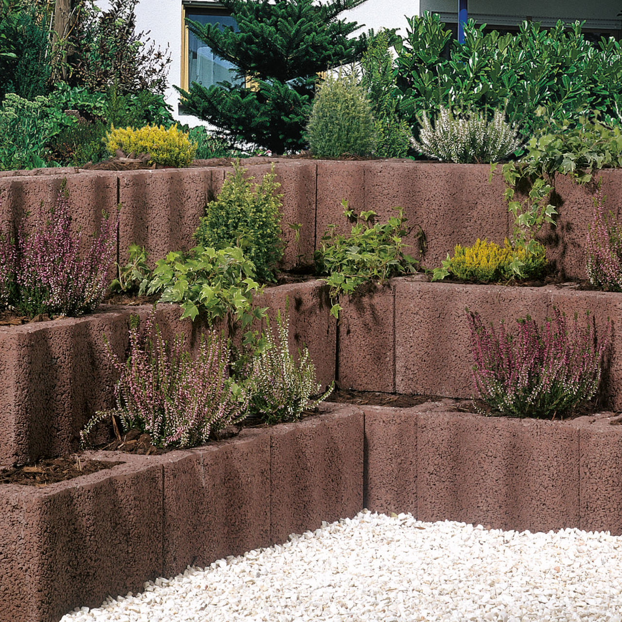 259604_Szene1 Kann Wellenpflanzstein