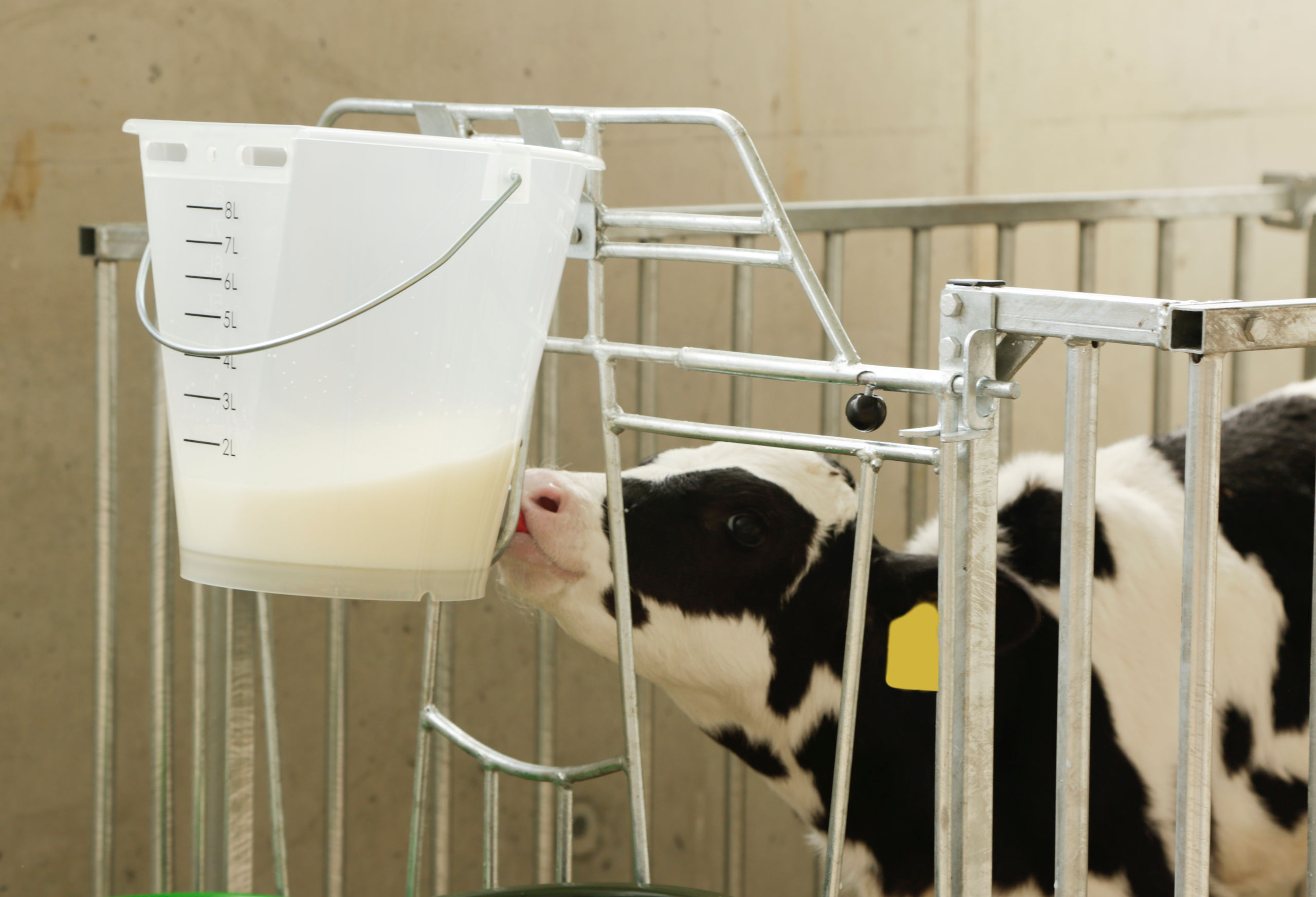 Kerbl Tränkeeimer weiß transparent mit Skala, ohne Zubehör Kerbl Tränkeeimer weiß transparent mit Skala, ohne Zubehör