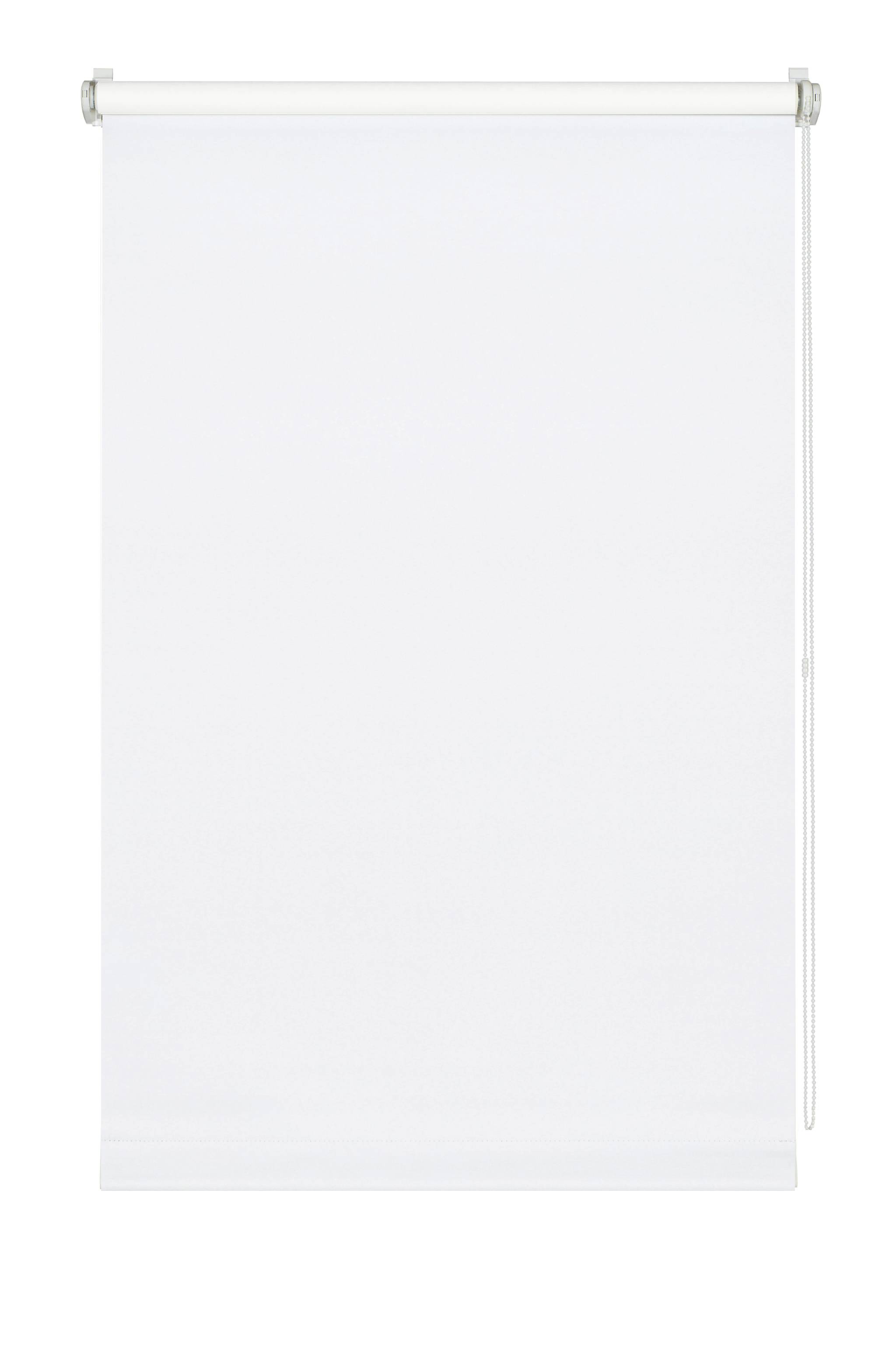 527425_01 GARDINIA MINI ROLLO TAGESLICHT WEISS 100X150