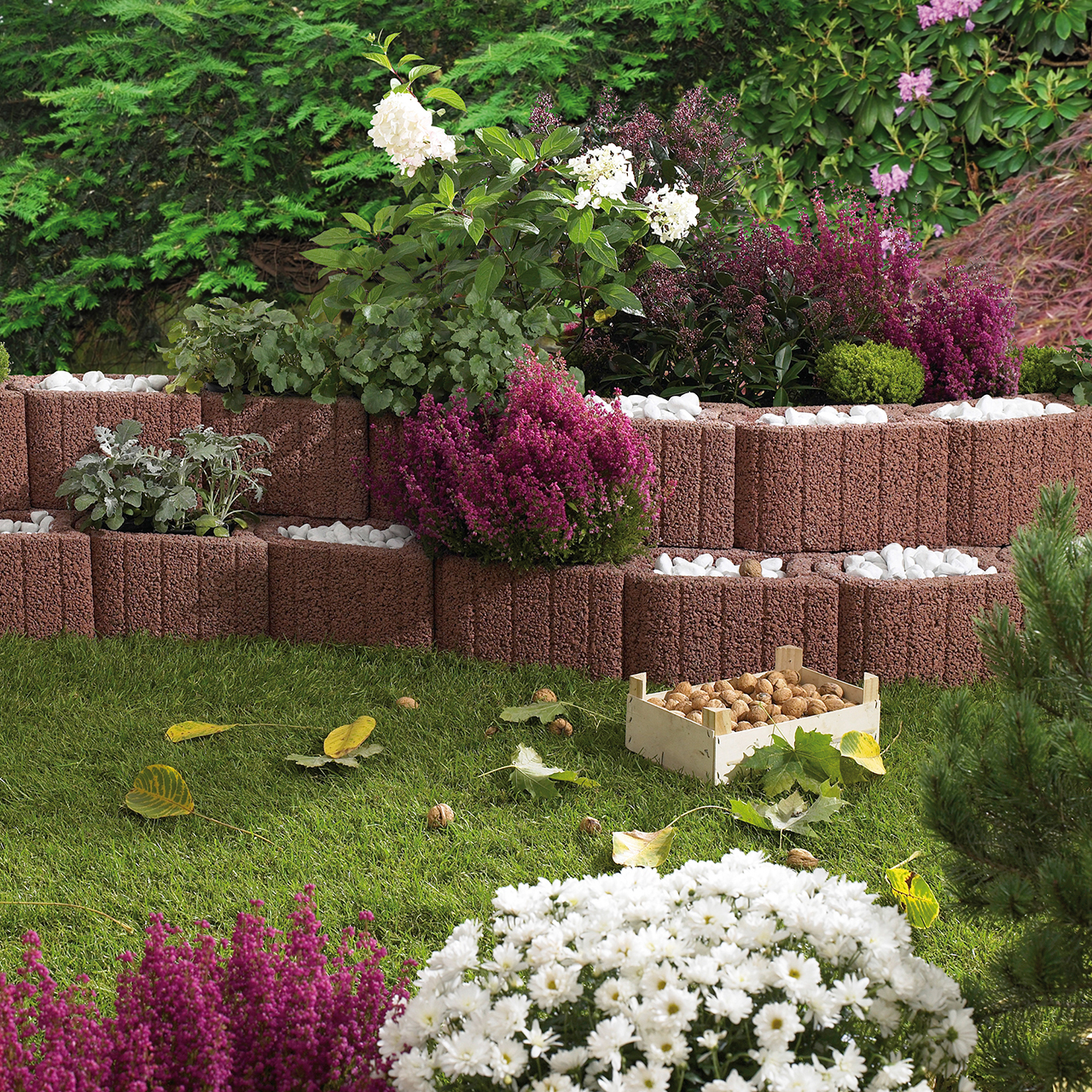 282051_Szene1 Kann Minipflanzstein Plus