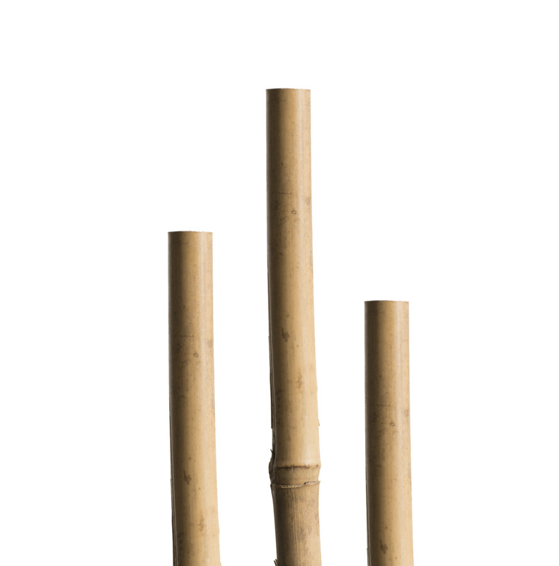 Windhager Tonkin-& Splittstab, natur, 150 cm
