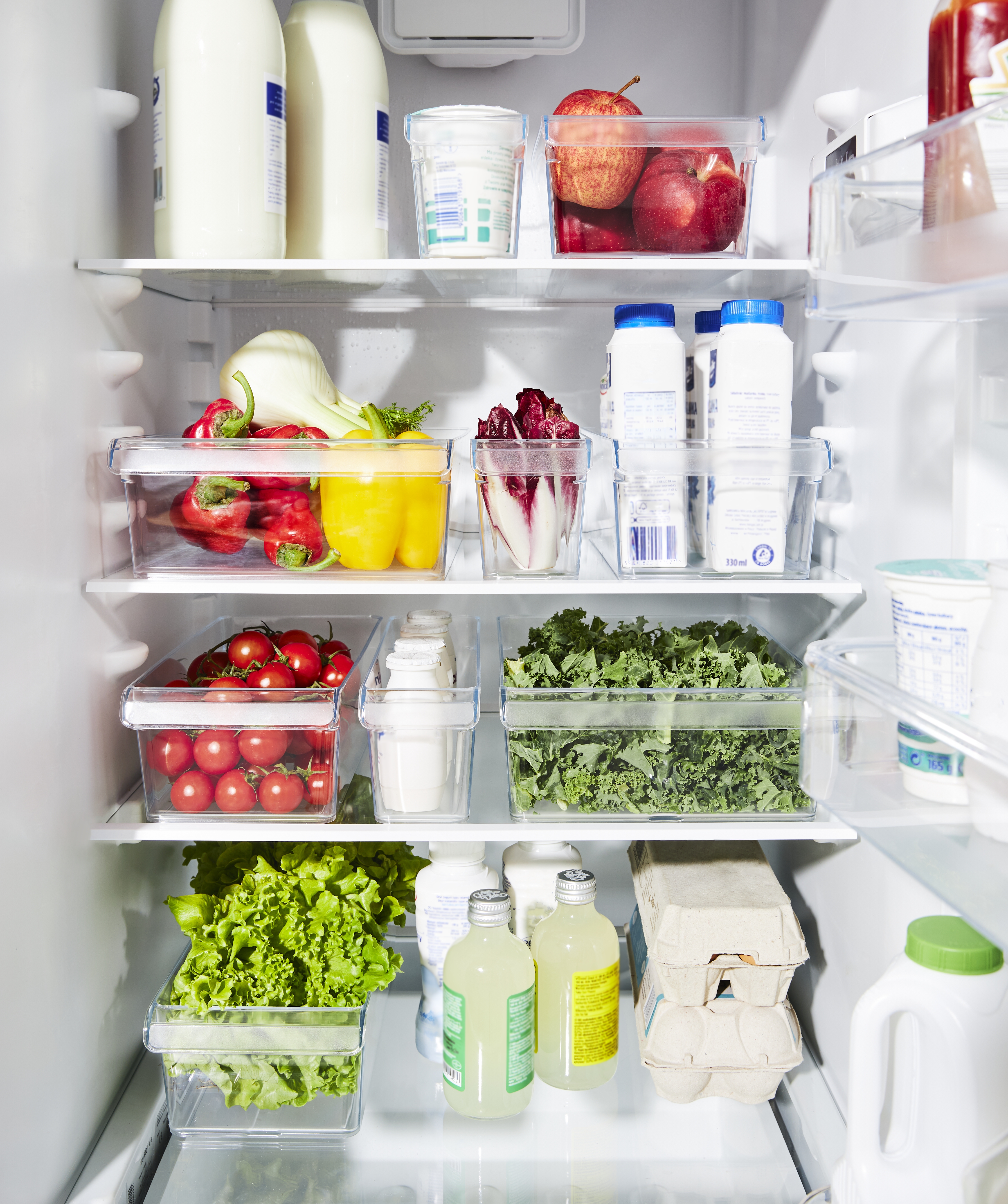 Rotho Kühlschrankorganizer 1.6 l, S LOFT