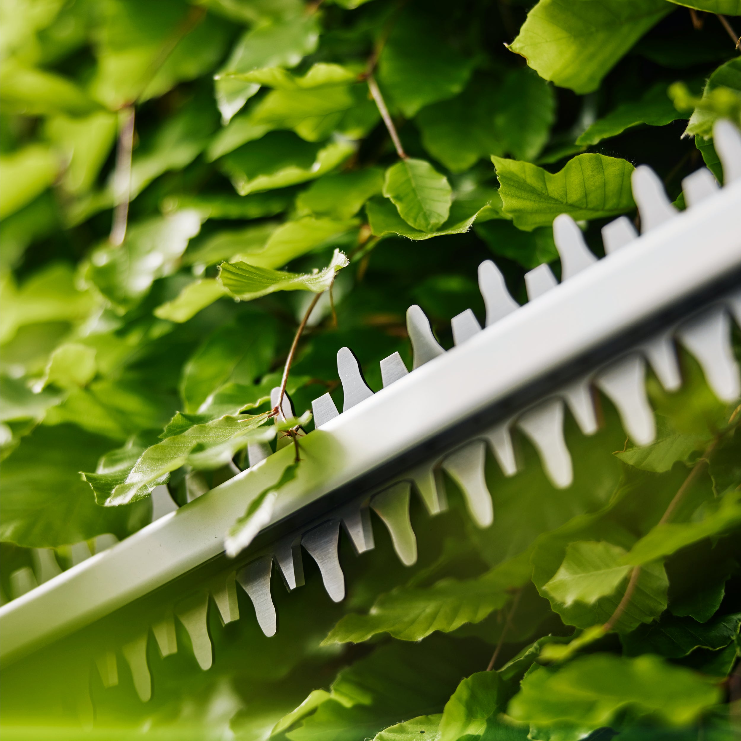 Gardena Akku-Heckenschere EasyCut 55/18V P4A solo