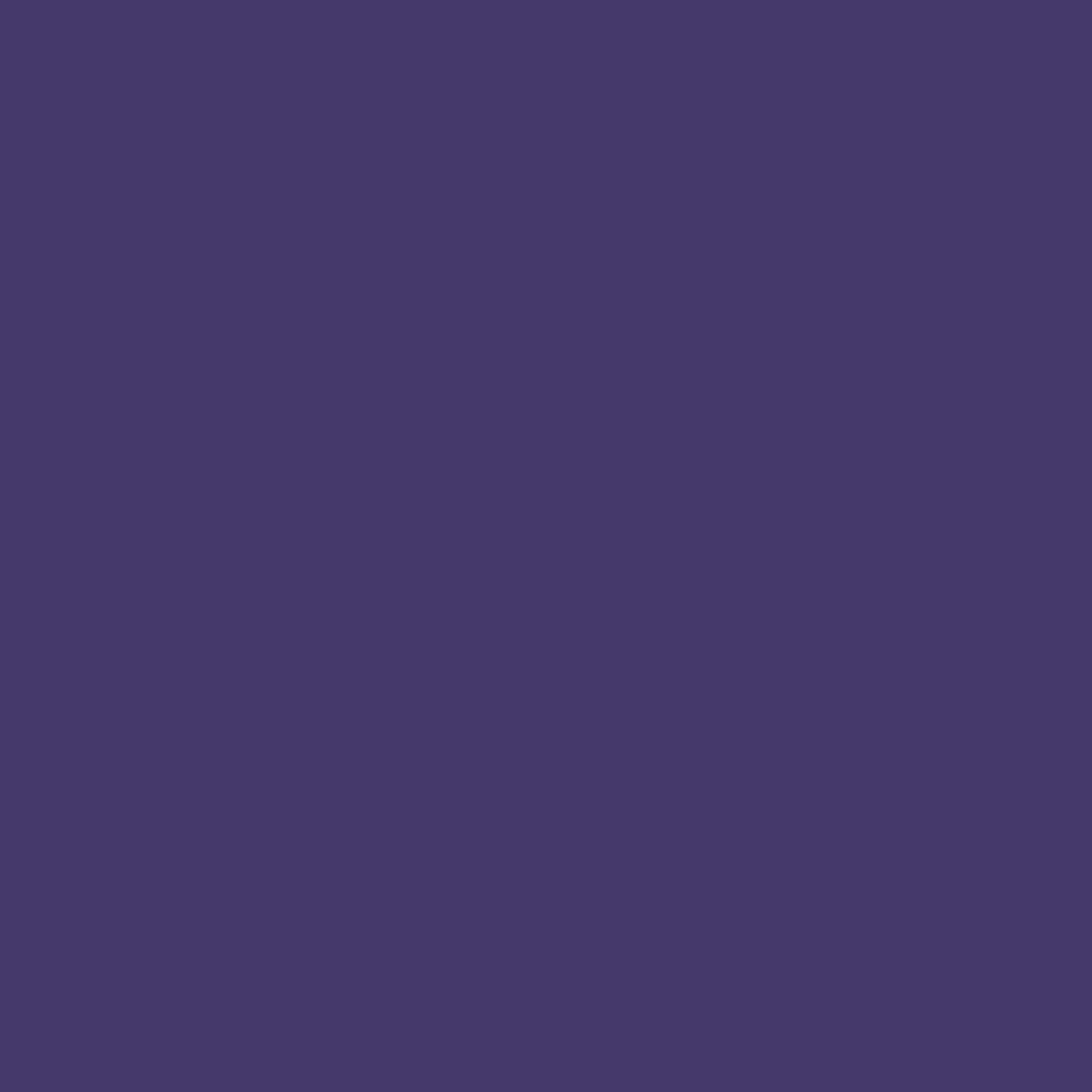 Schöner Wohnen Vollton- und Abtönfarbe, violett