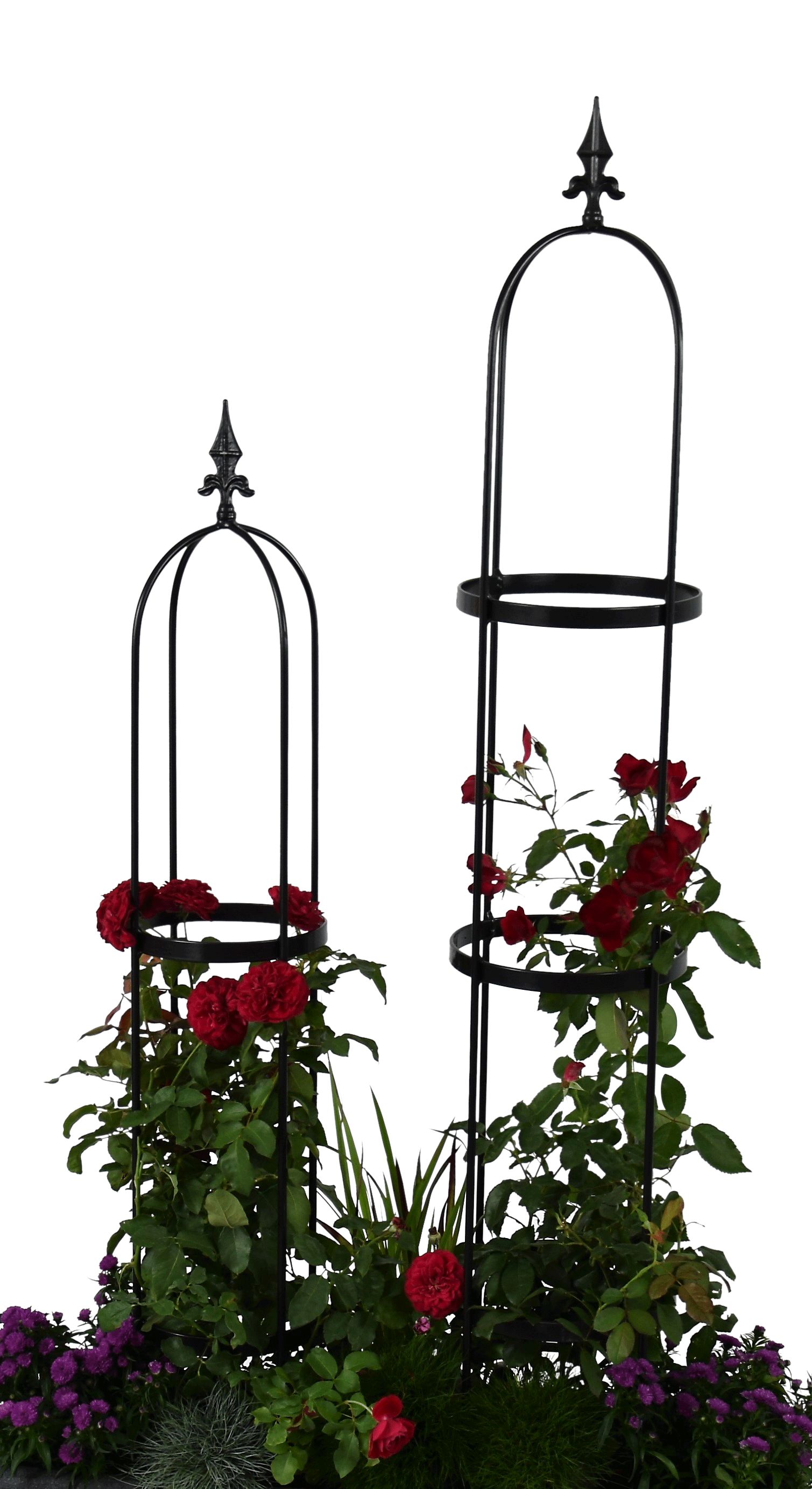 Pink Garten Rankhilfe Obelisk Oscar 125, schwarz, PE coatet