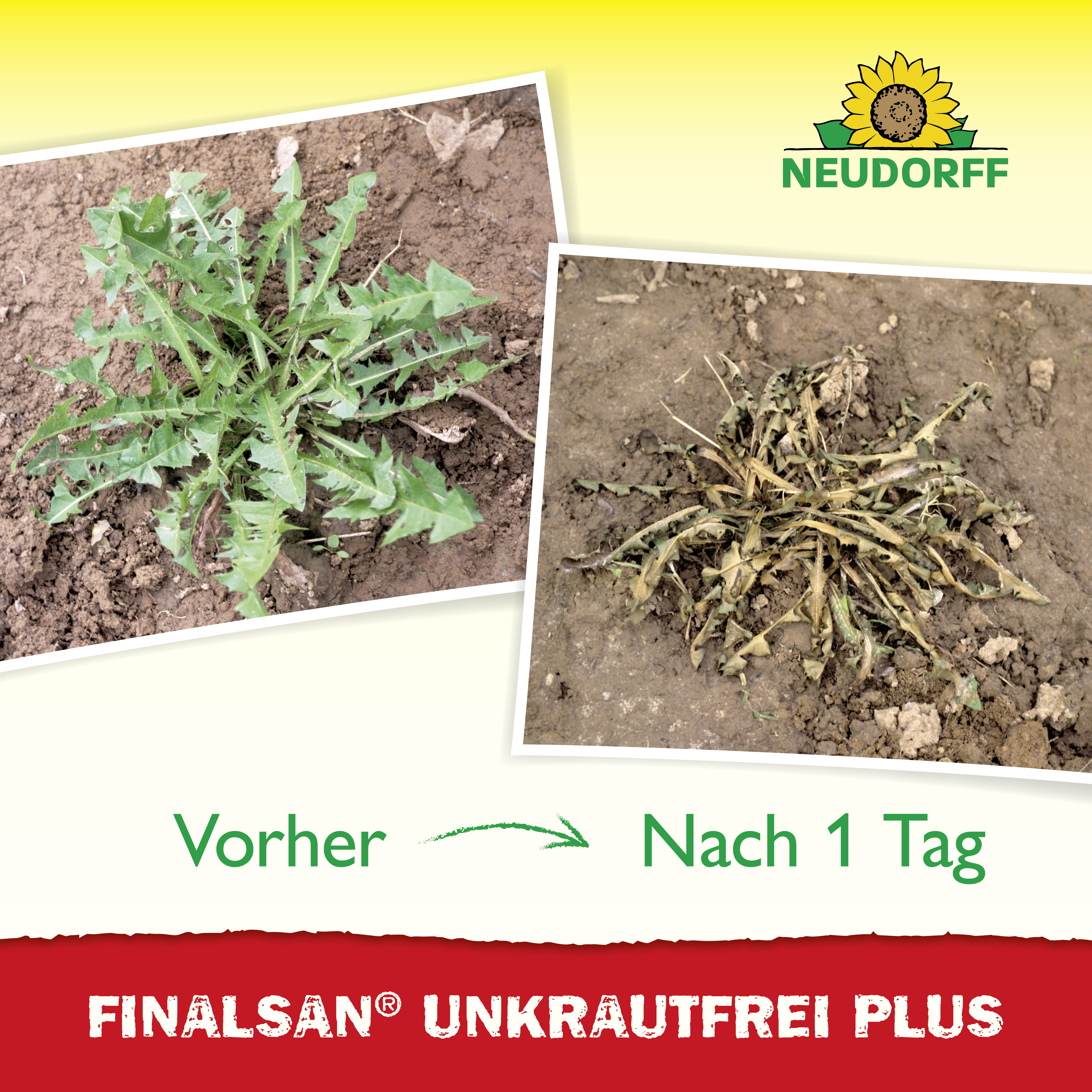 Neudorff Finalsan UnkrautFrei Plus, 1 l