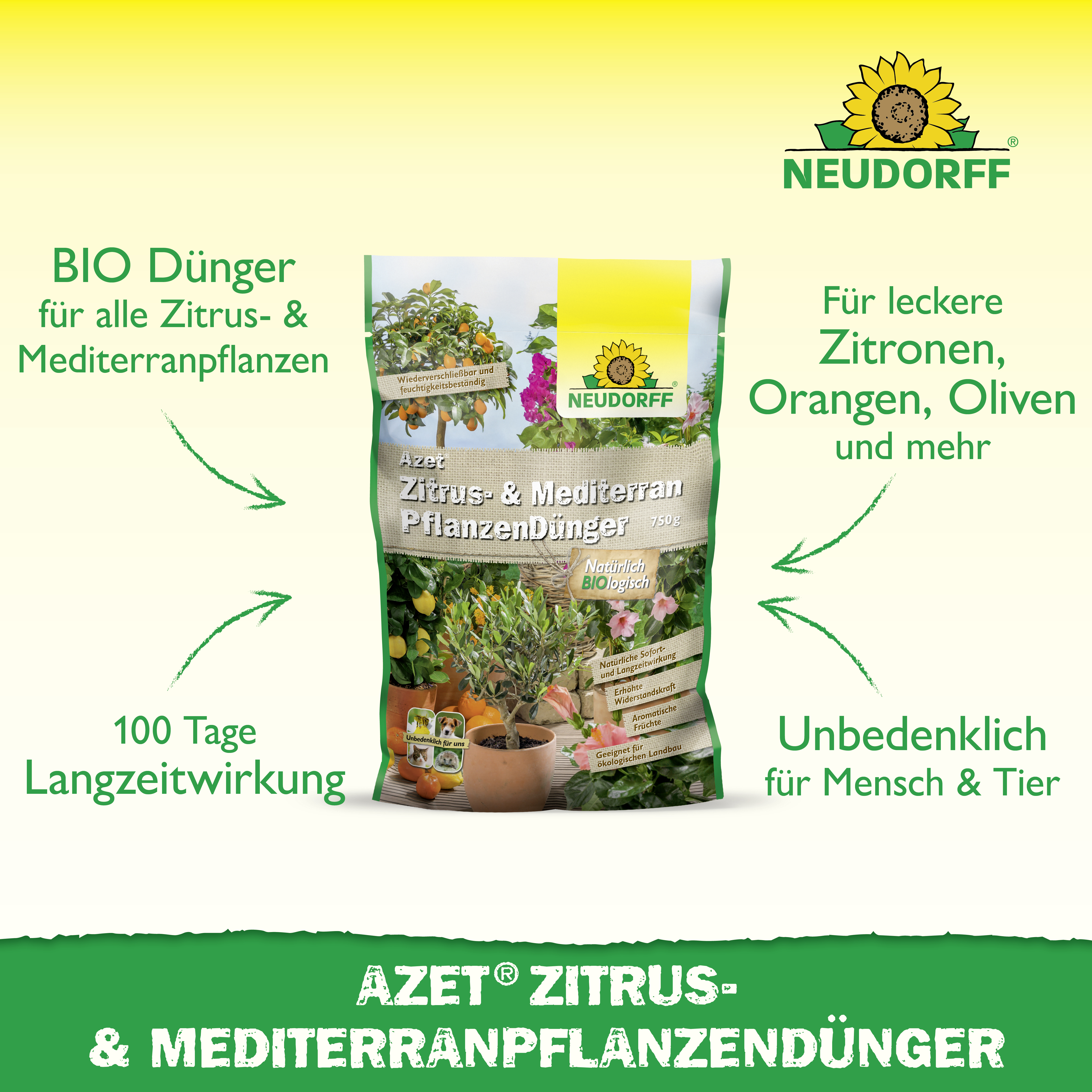 Neudorff Azet Zitrus- & MediterranpflanzenDünger, 750 g