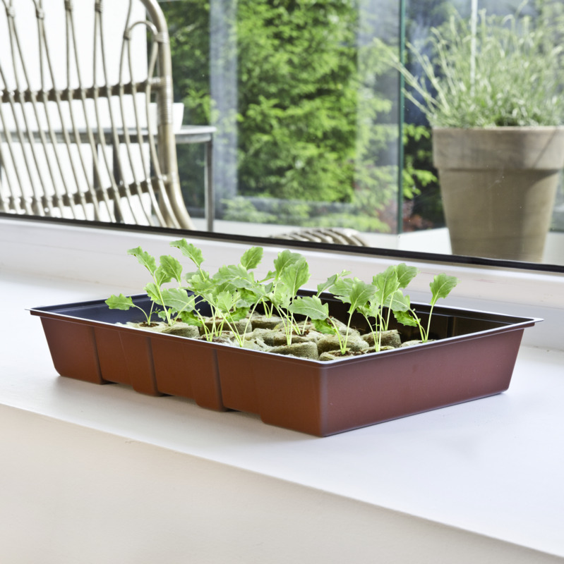 Windhager Fensterbank-Treibhaus, 23,5 x 35 x 11 cm Windhager Fensterbank-Treibhaus, 23,5 x 35 x 11 cm