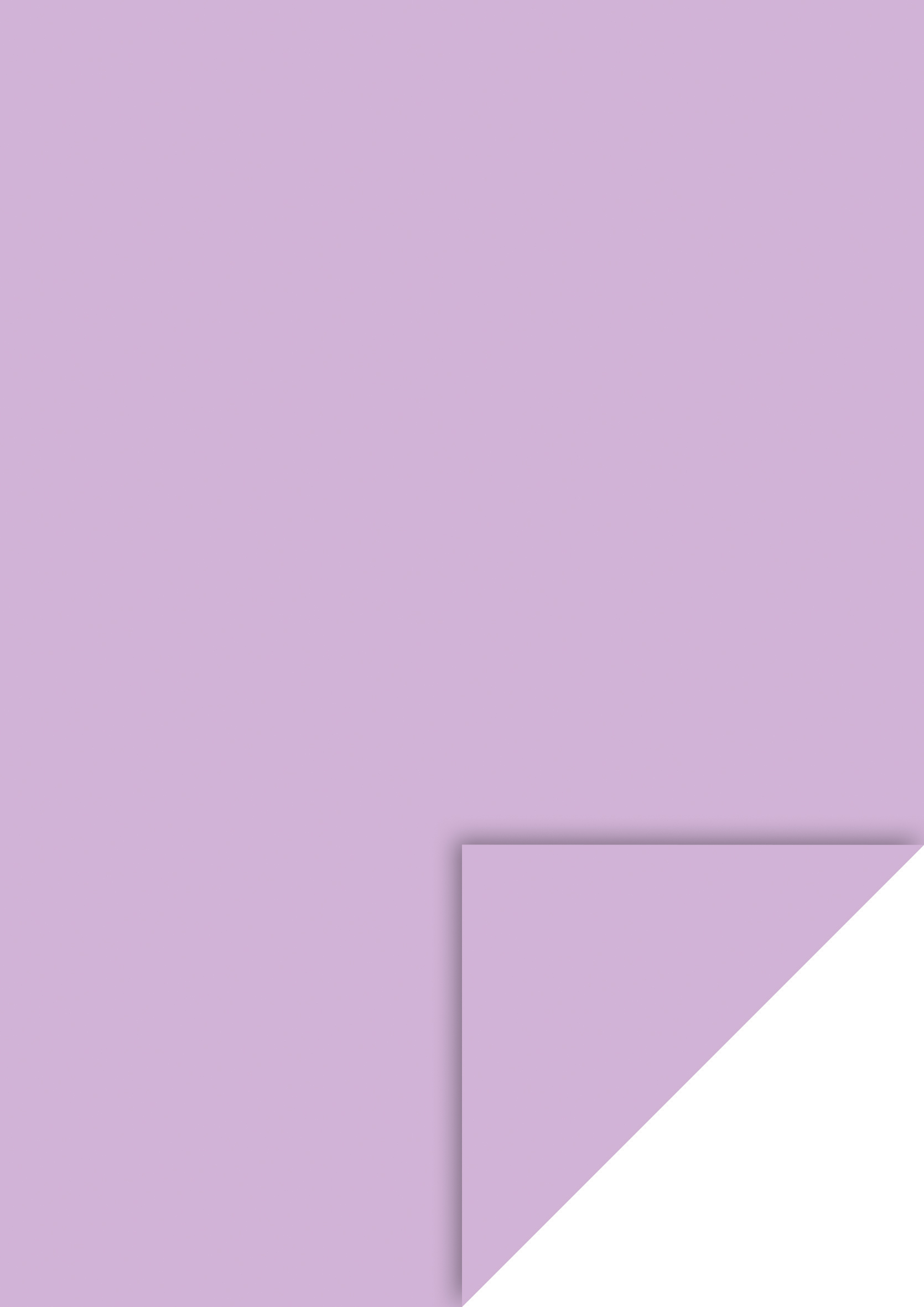 Heyda Fotokarton A4, Hellviolett, mit EAN-Aufkleber Heyda Fotokarton A4, Hellviolett, mit EAN-Aufkleber