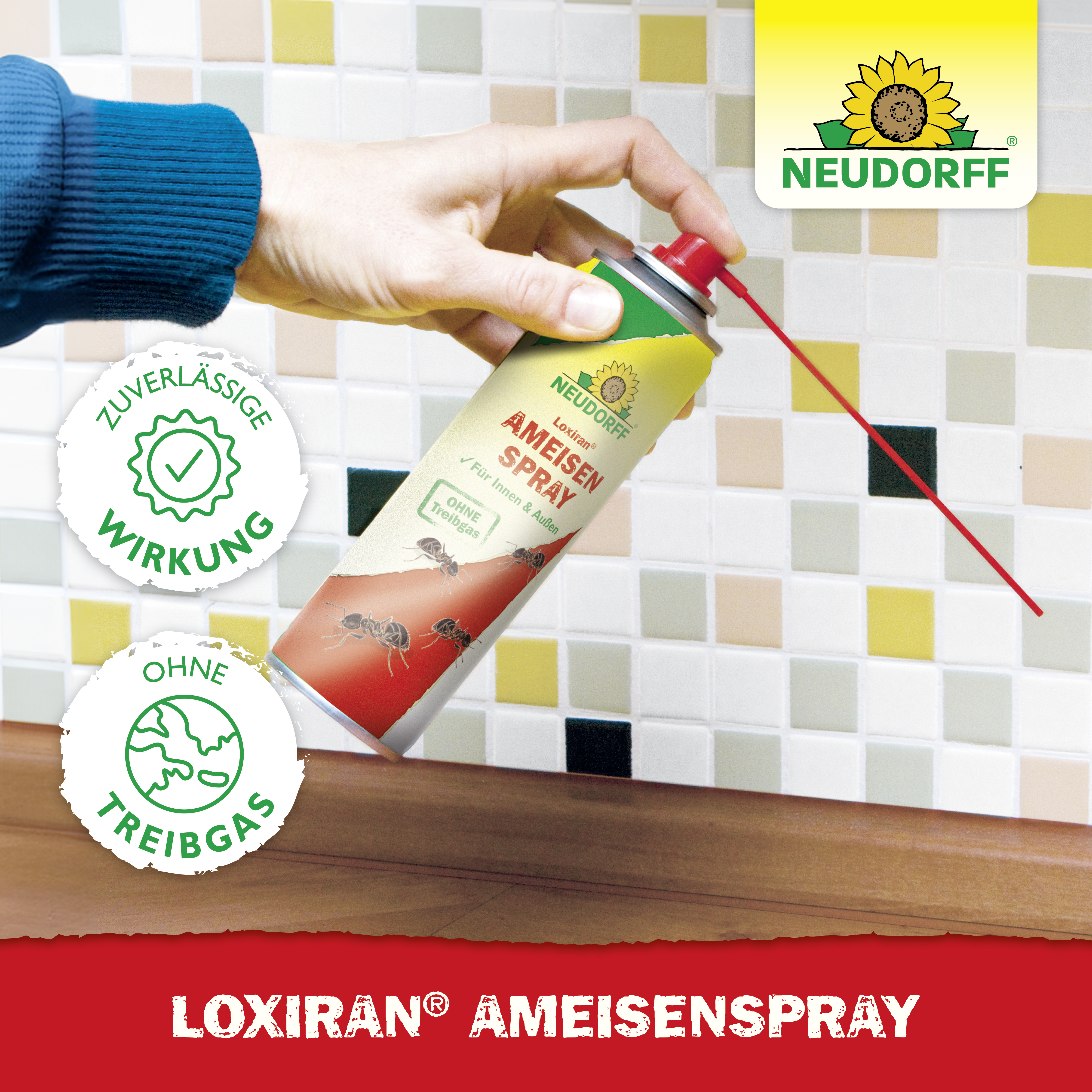 Neudorff Loxiran Ameisenspray, 500 ml