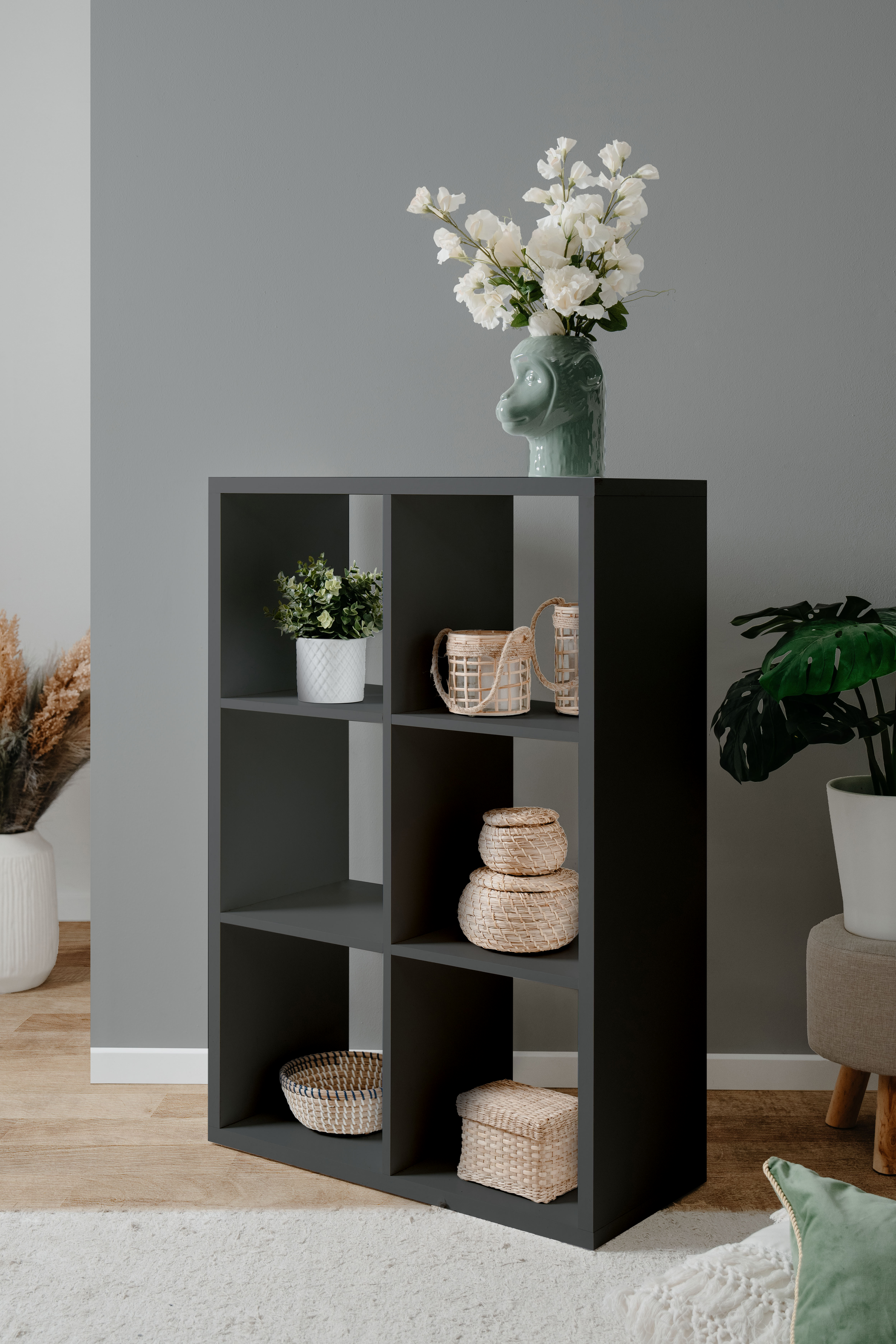 Finori Regal Max-6er