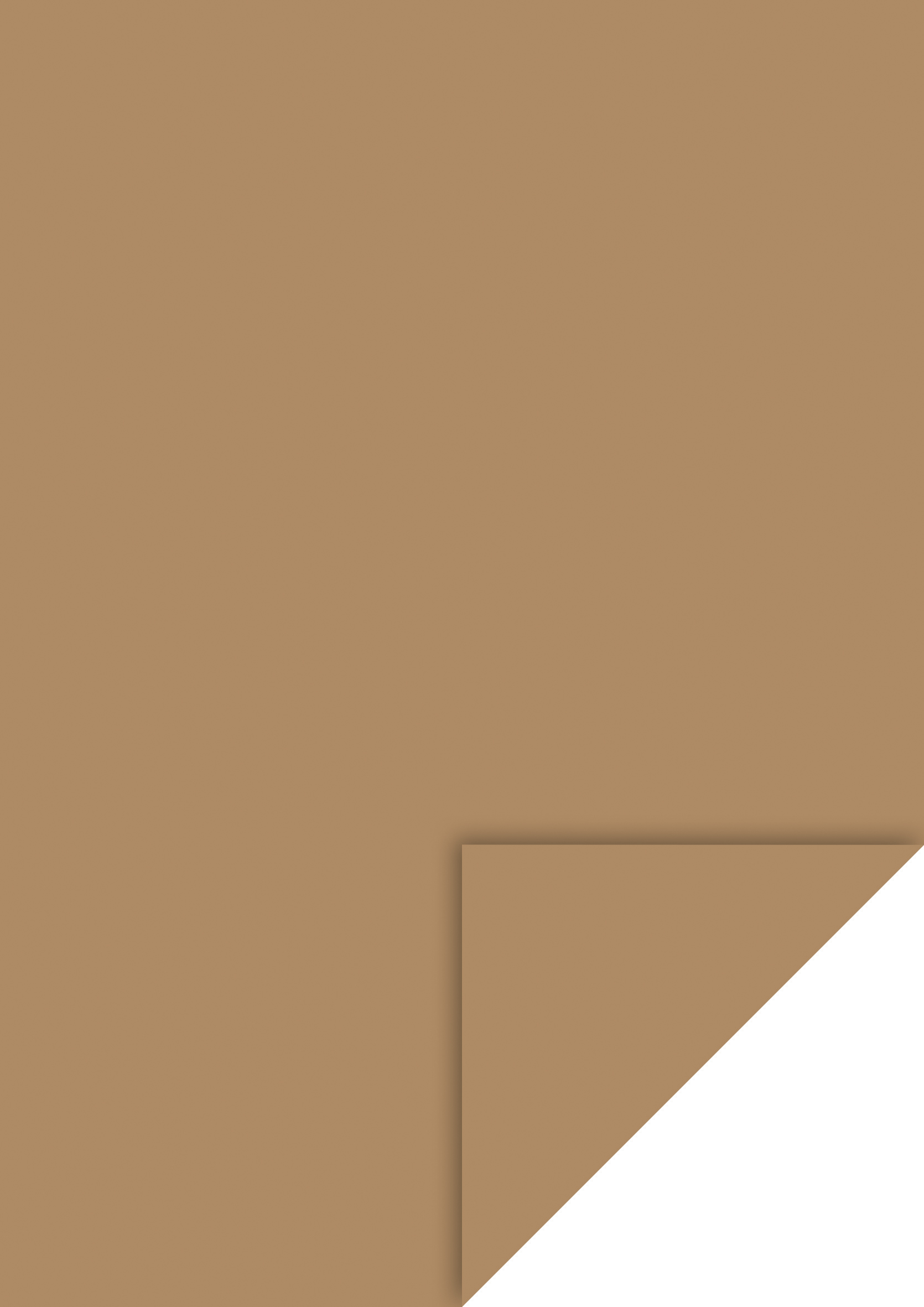 Heyda Fotokarton A4, Sand, mit EAN-Aufkleber Heyda Fotokarton A4, Sand, mit EAN-Aufkleber