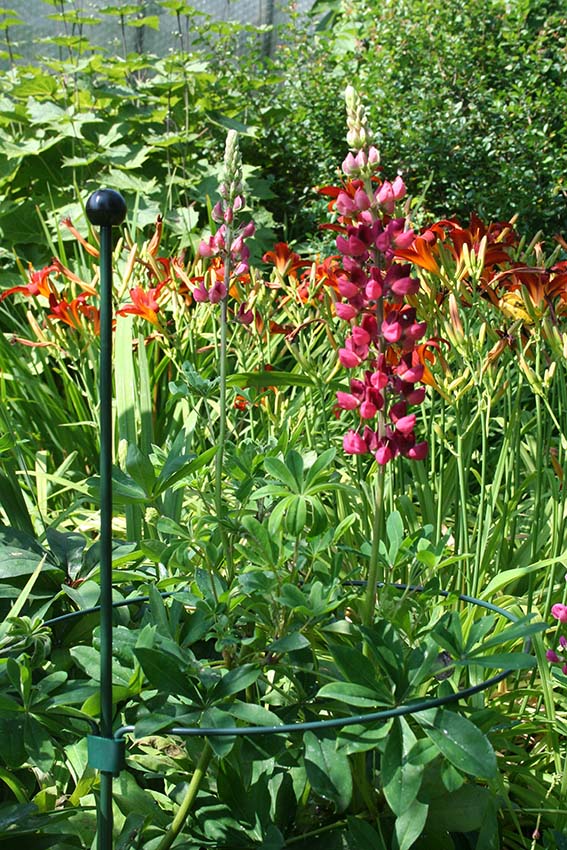 0702633092178_sfeer-1zQjHKRc0Z2yNd Peacock Stützring Kreisförmig, 32cm