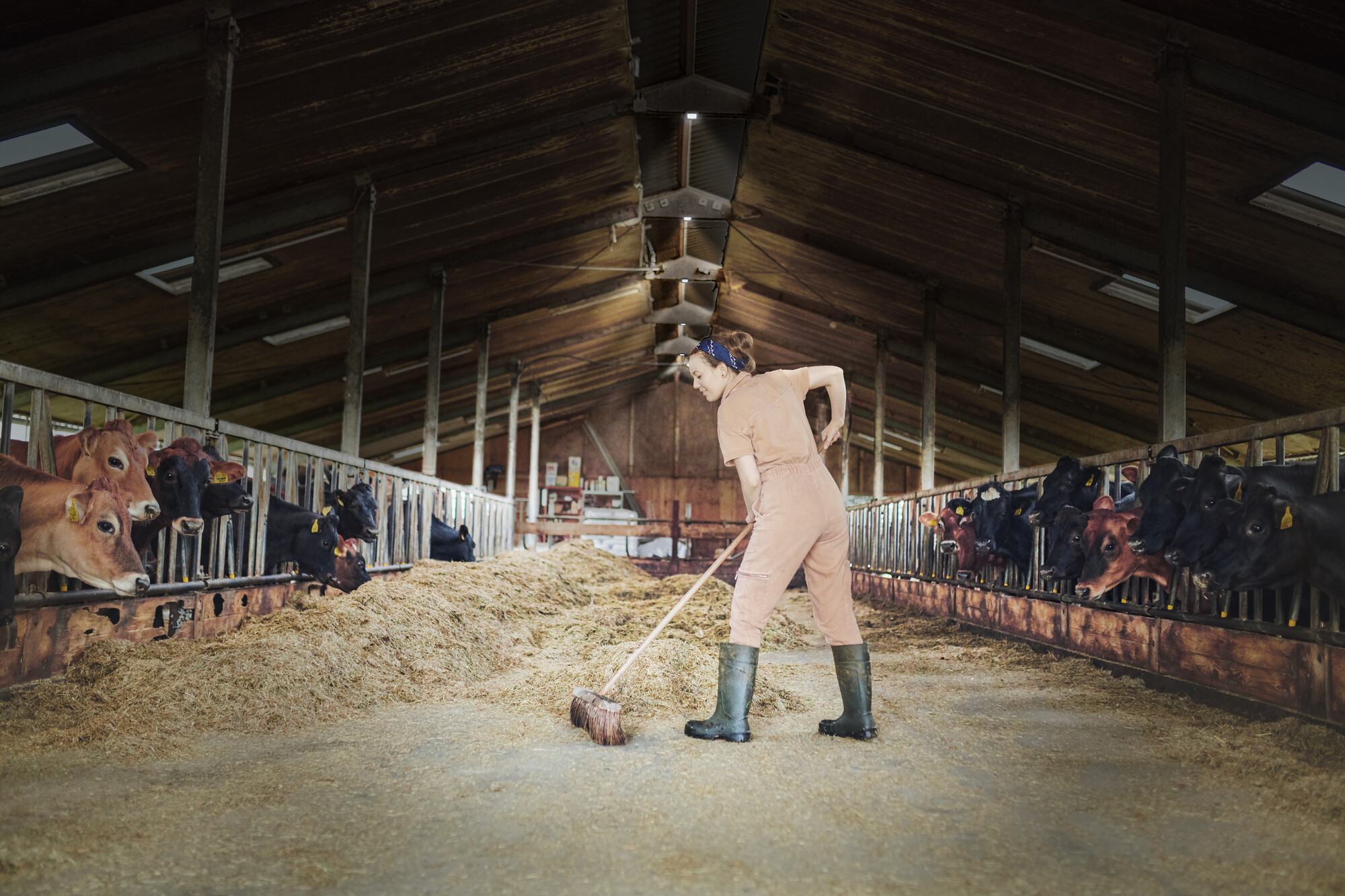 Osram Highbay Ufo Deckenleuchte, 130W, IP65, schwarz