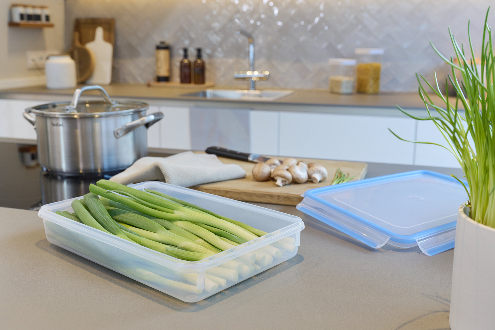 EMSA Clip & Close Frischhaltedose 2,6 L, rechteckig EMSA Clip & Close Frischhaltedose 2,6 L, rechteckig