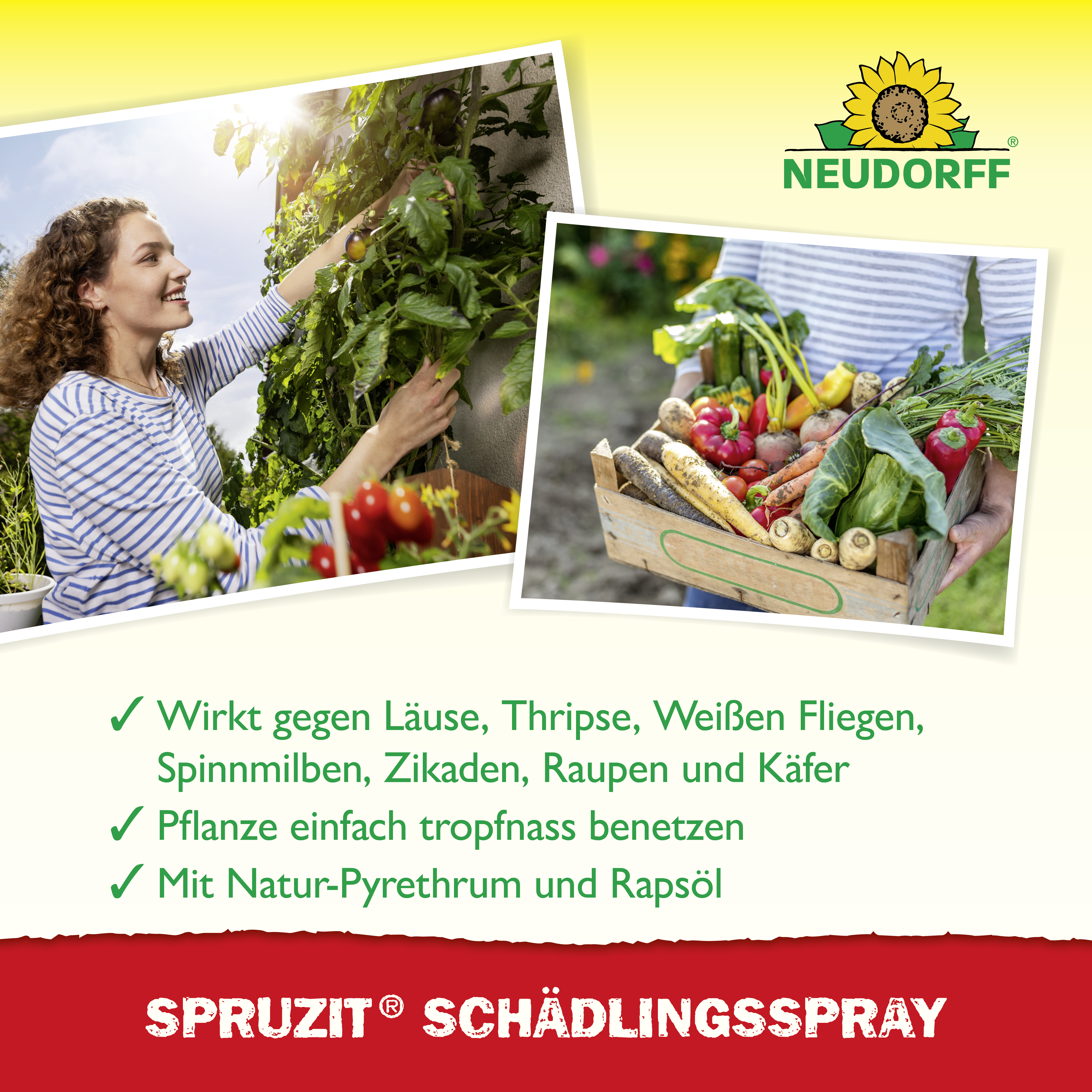 Neudorff Spruzit SchädlingsSpray, 400 ml