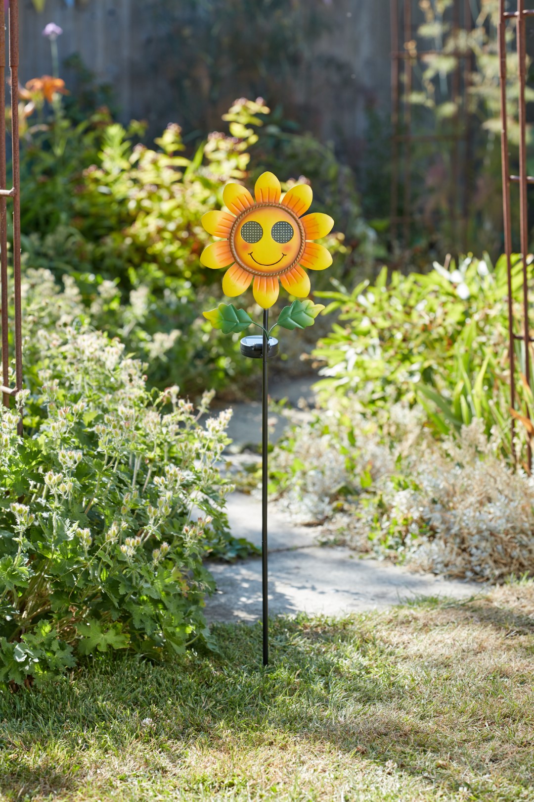 Smart Garden Smilin Sonnenblume
