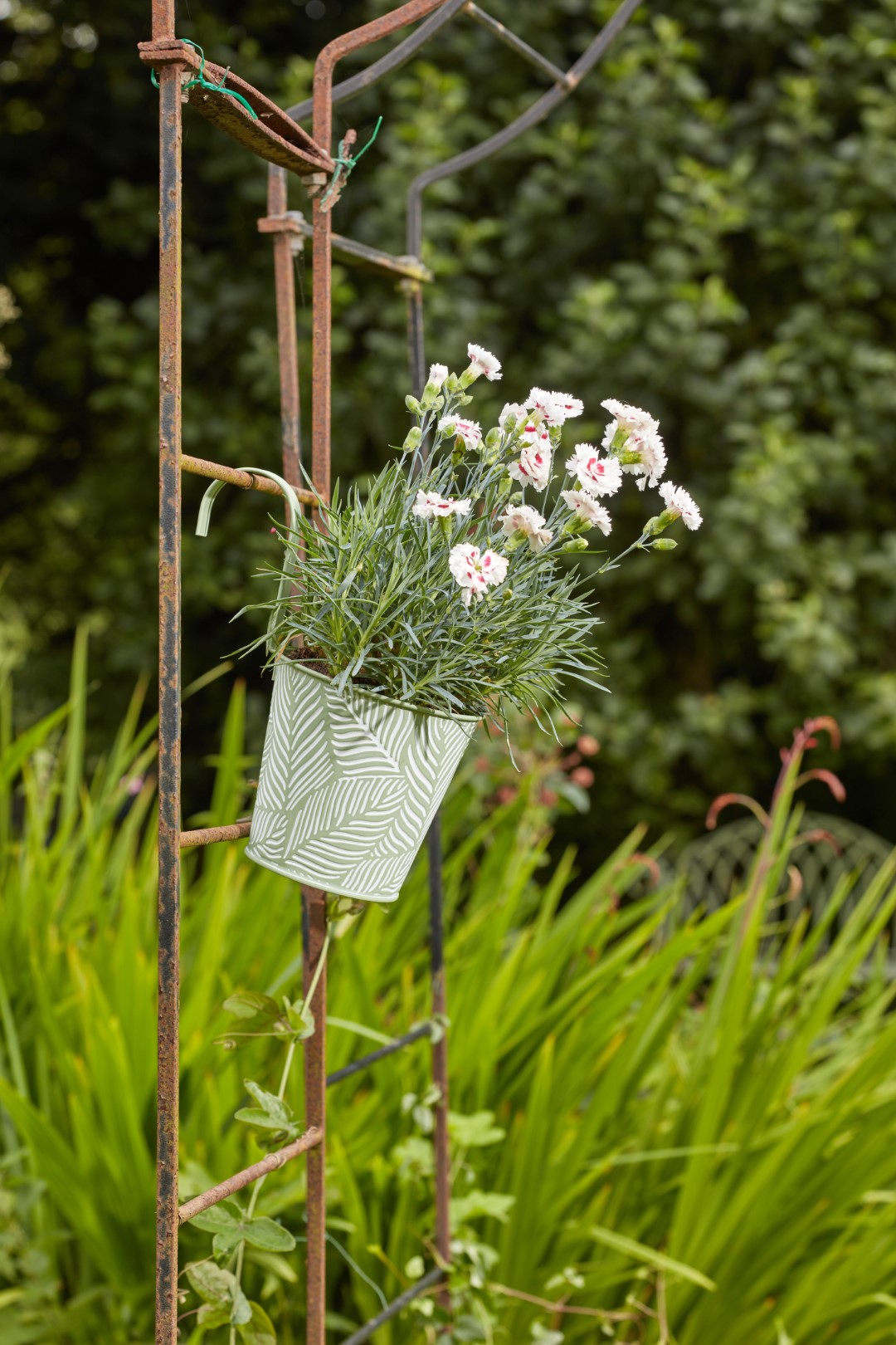 Smart Garden Blumentopf zum Aufhängen, sage