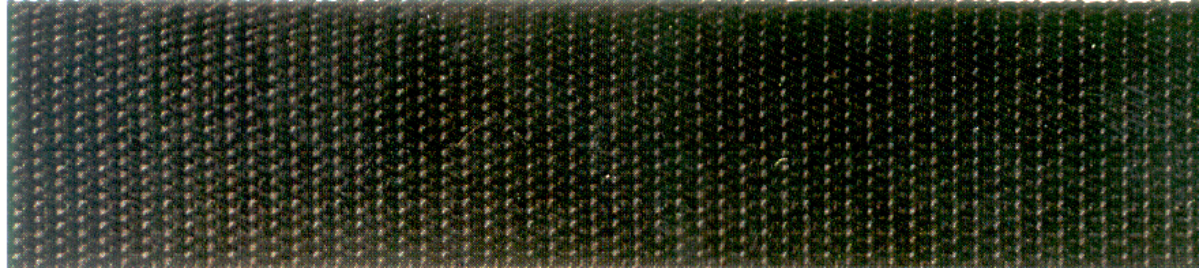 164638-pt1 Connex Gurtband, grün